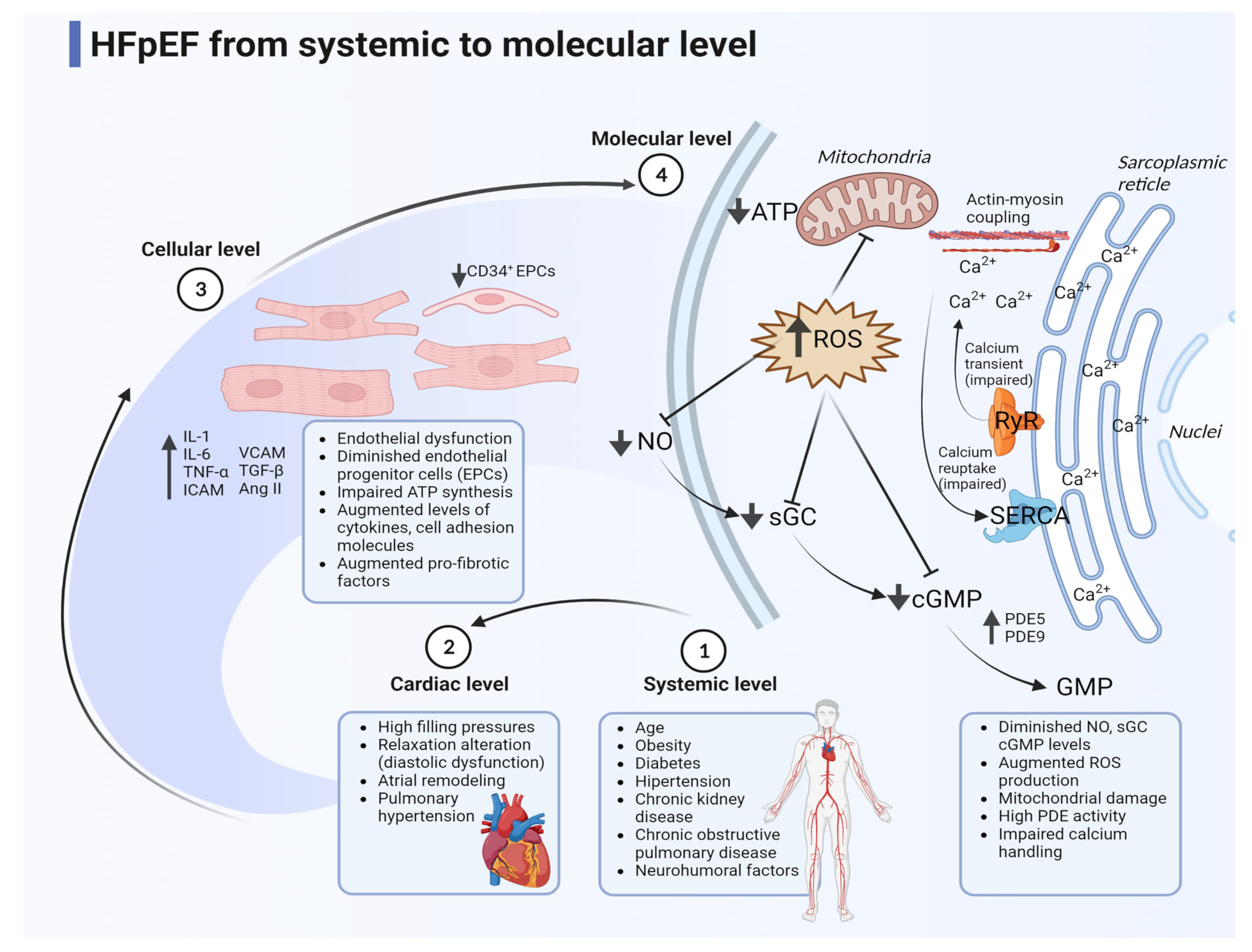 Biomedicines 11 00070 g001