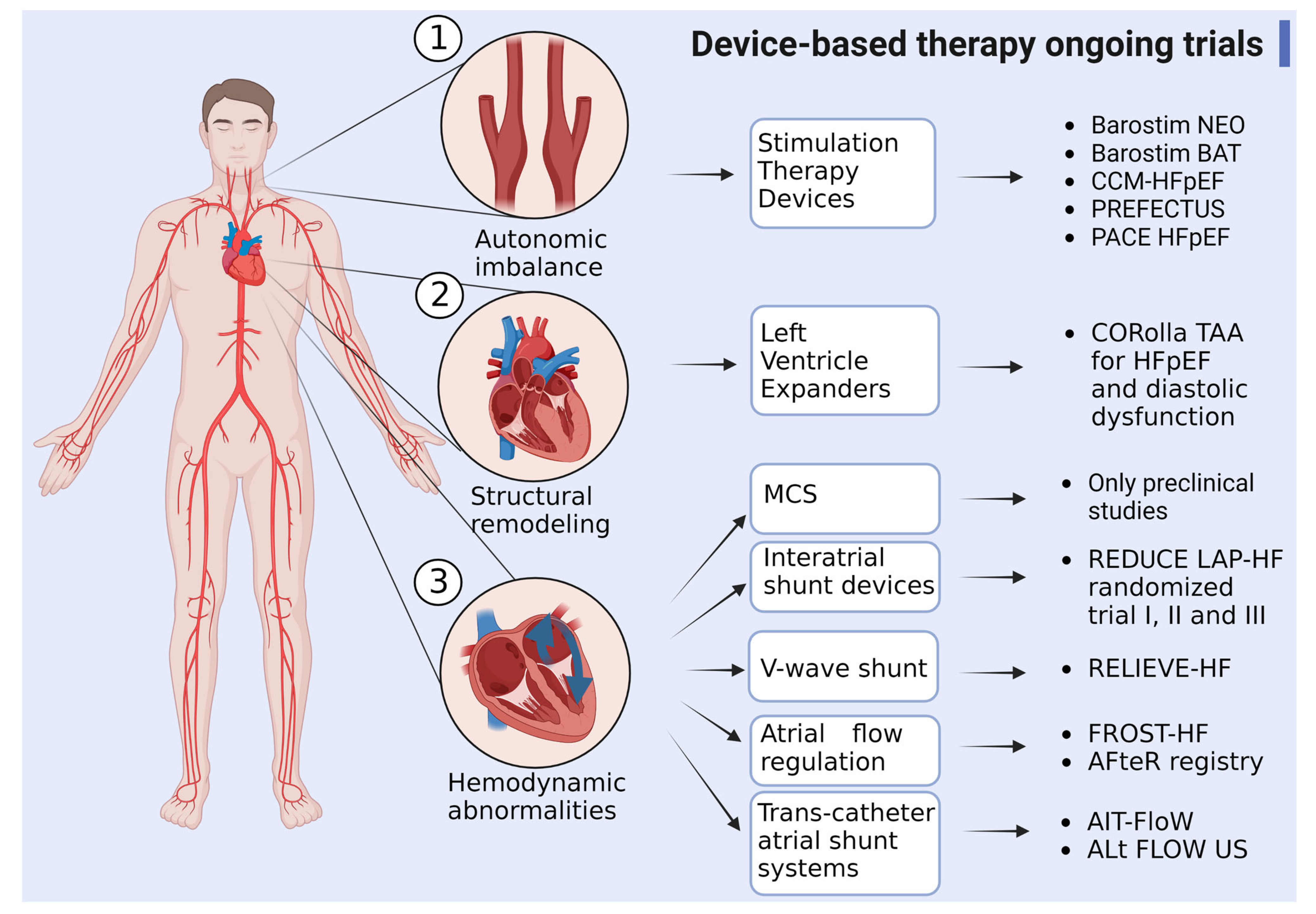 Biomedicines 11 00070 g003
