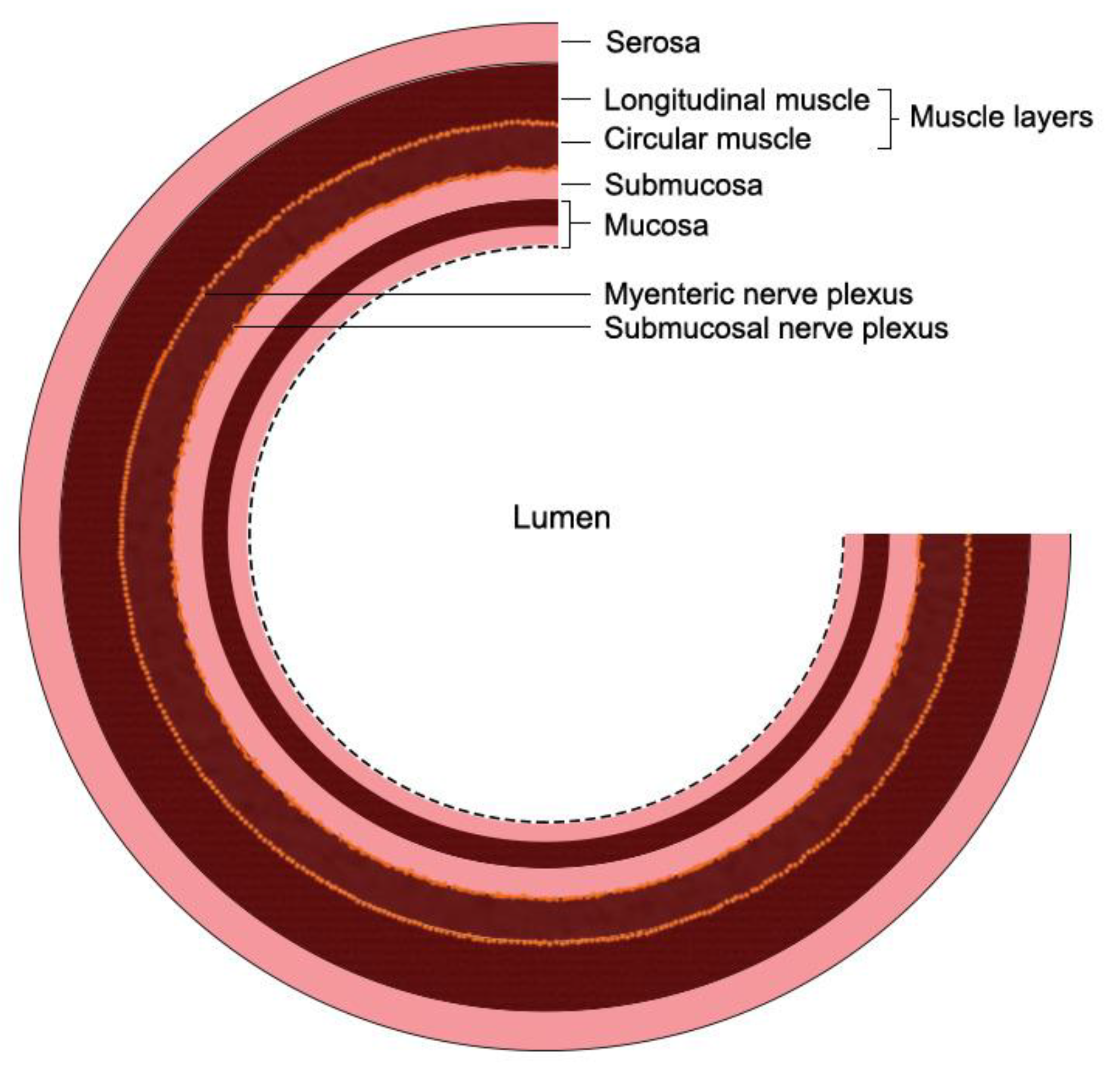 Biomedicines 11 00072 g001 Biomedicines 11 00072 g001