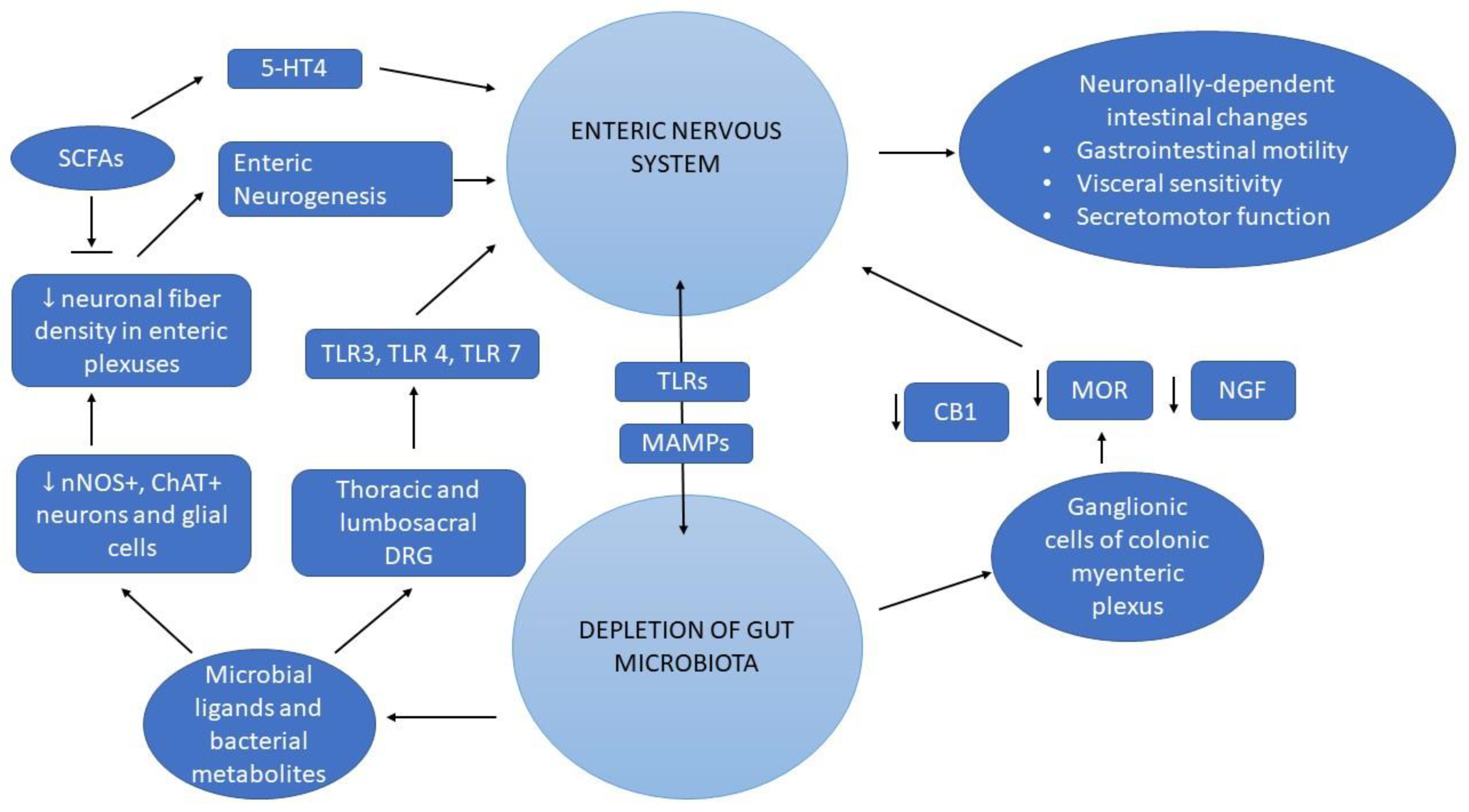 Biomedicines 11 00072 g002 Biomedicines 11 00072 g002