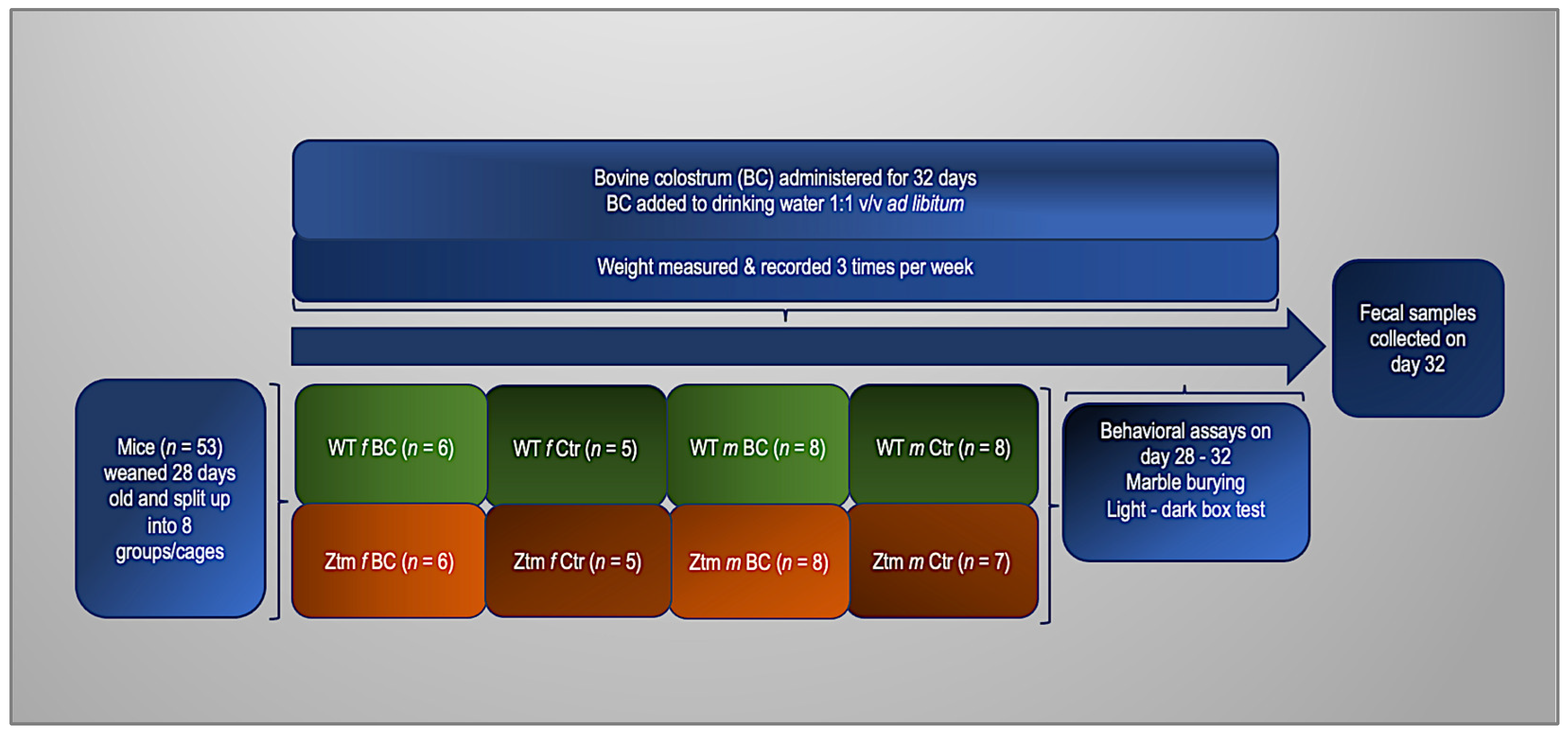 Biomedicines 11 00091 g001