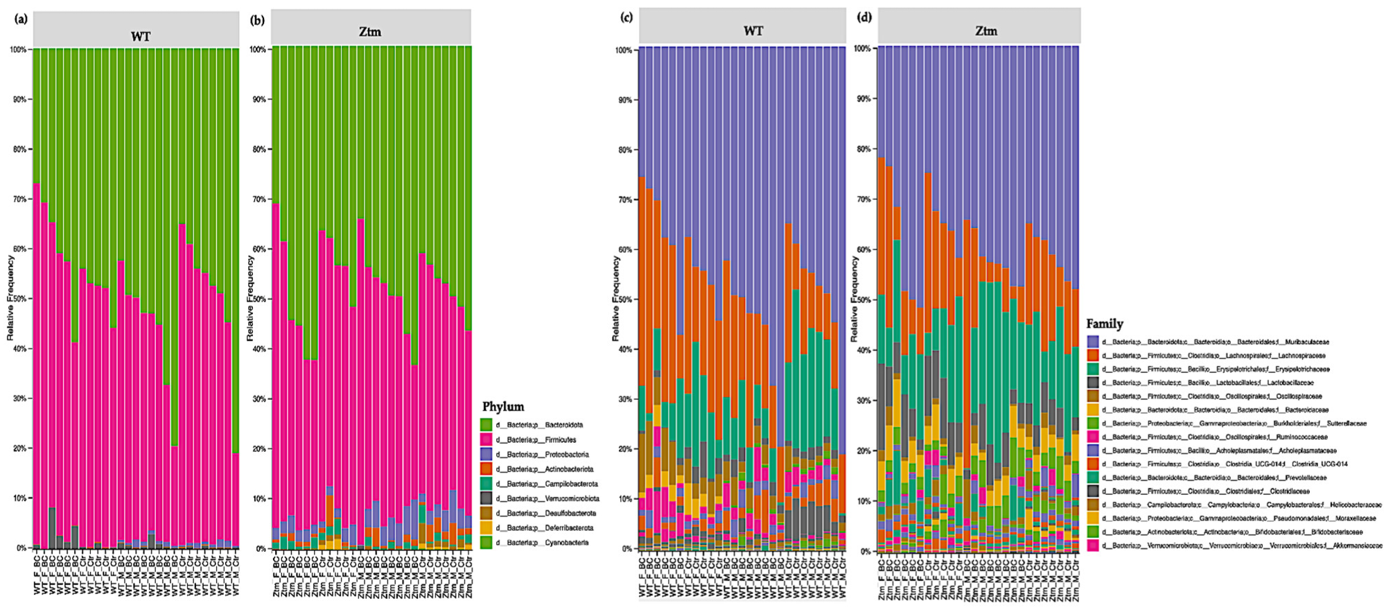 Biomedicines 11 00091 g006