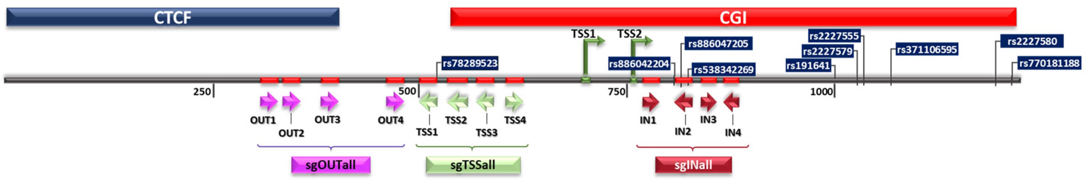 Biomedicines 11 00102 g001 Biomedicines 11 00102 g001