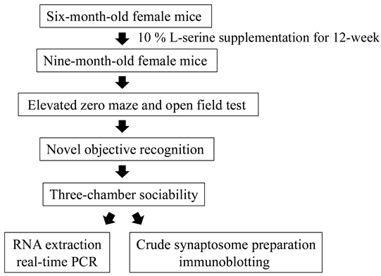Biomedicines 11 00104 i001 Biomedicines 11 00104 i001