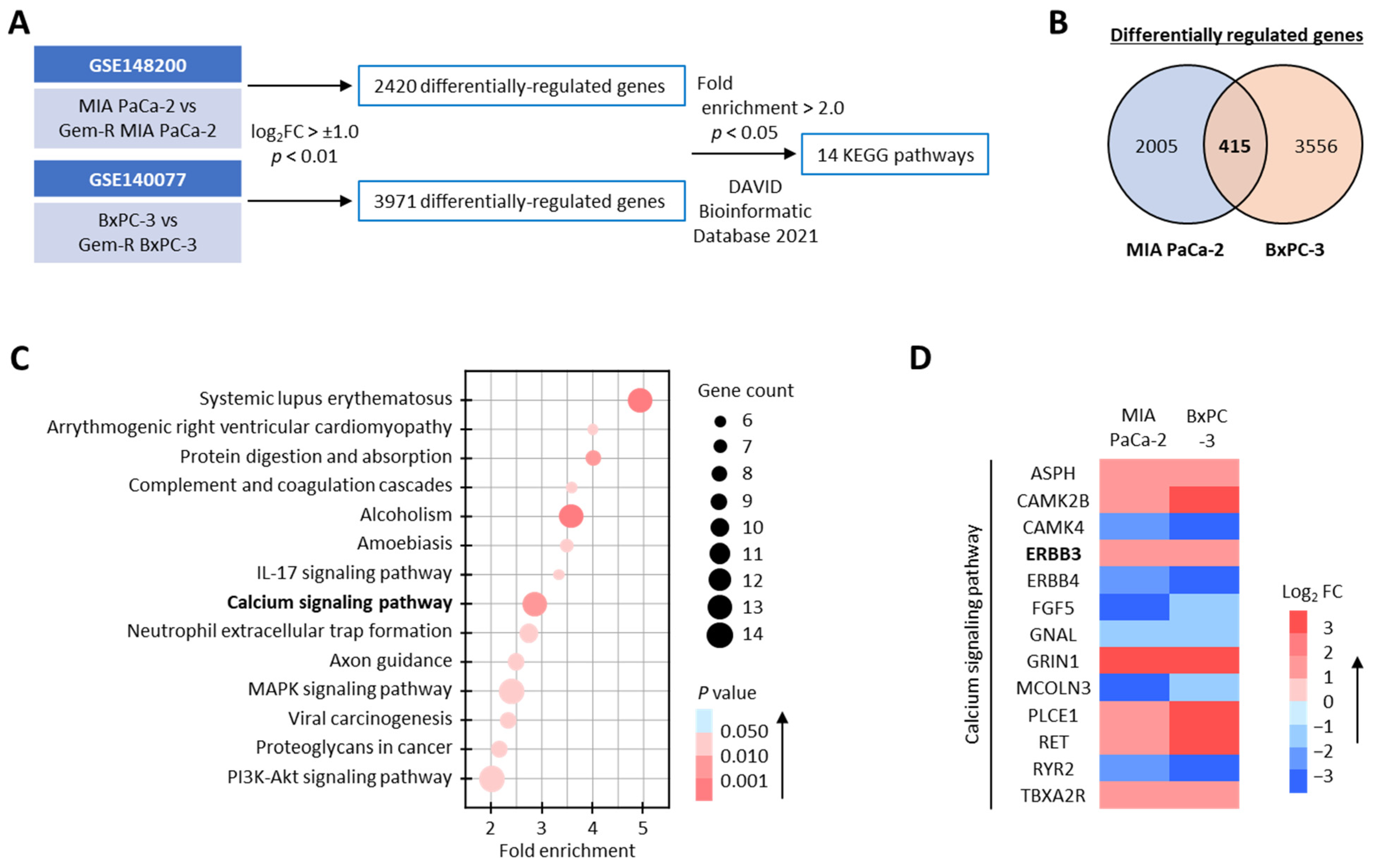 Biomedicines 11 00119 g001