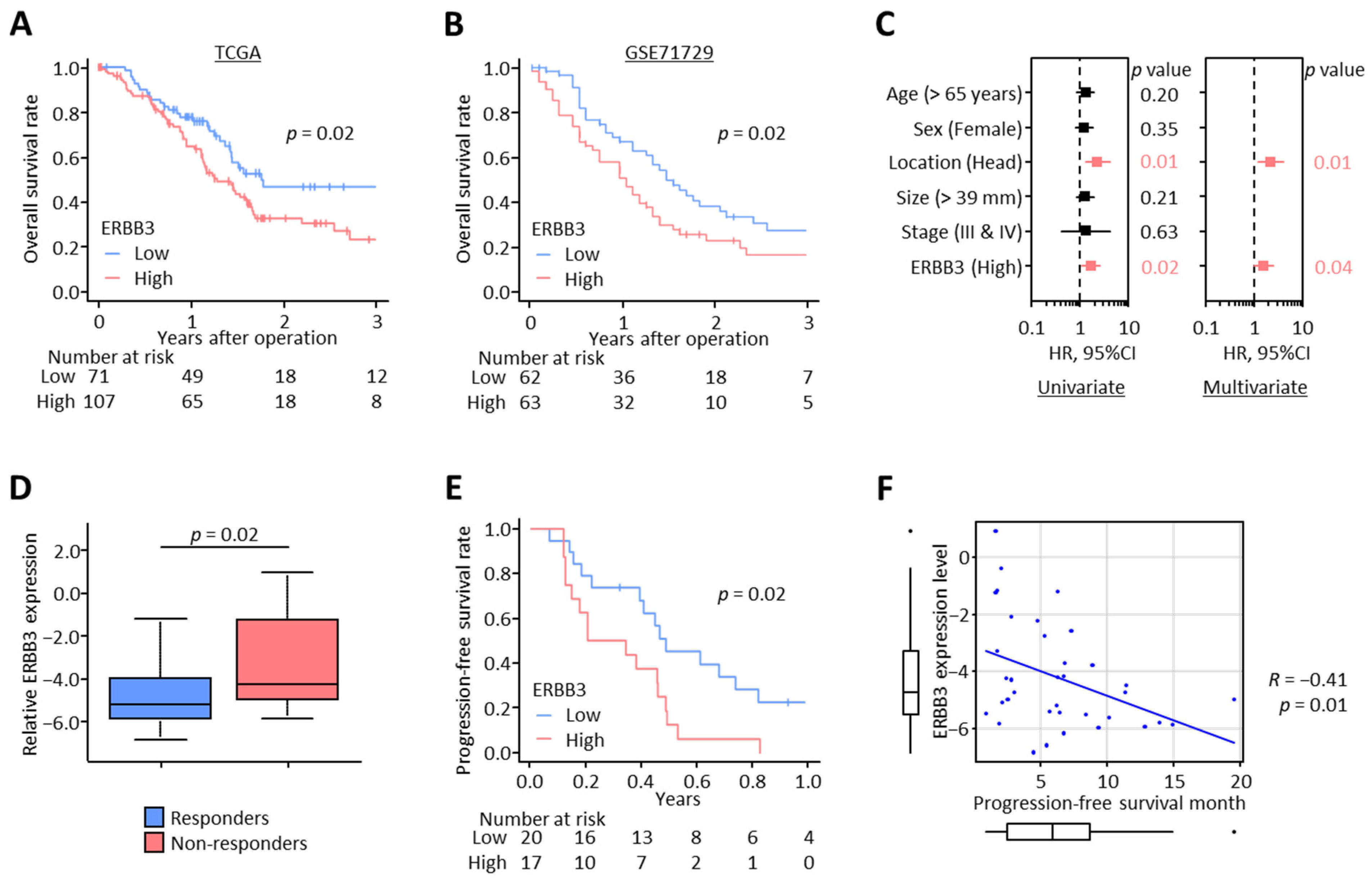 Biomedicines 11 00119 g002