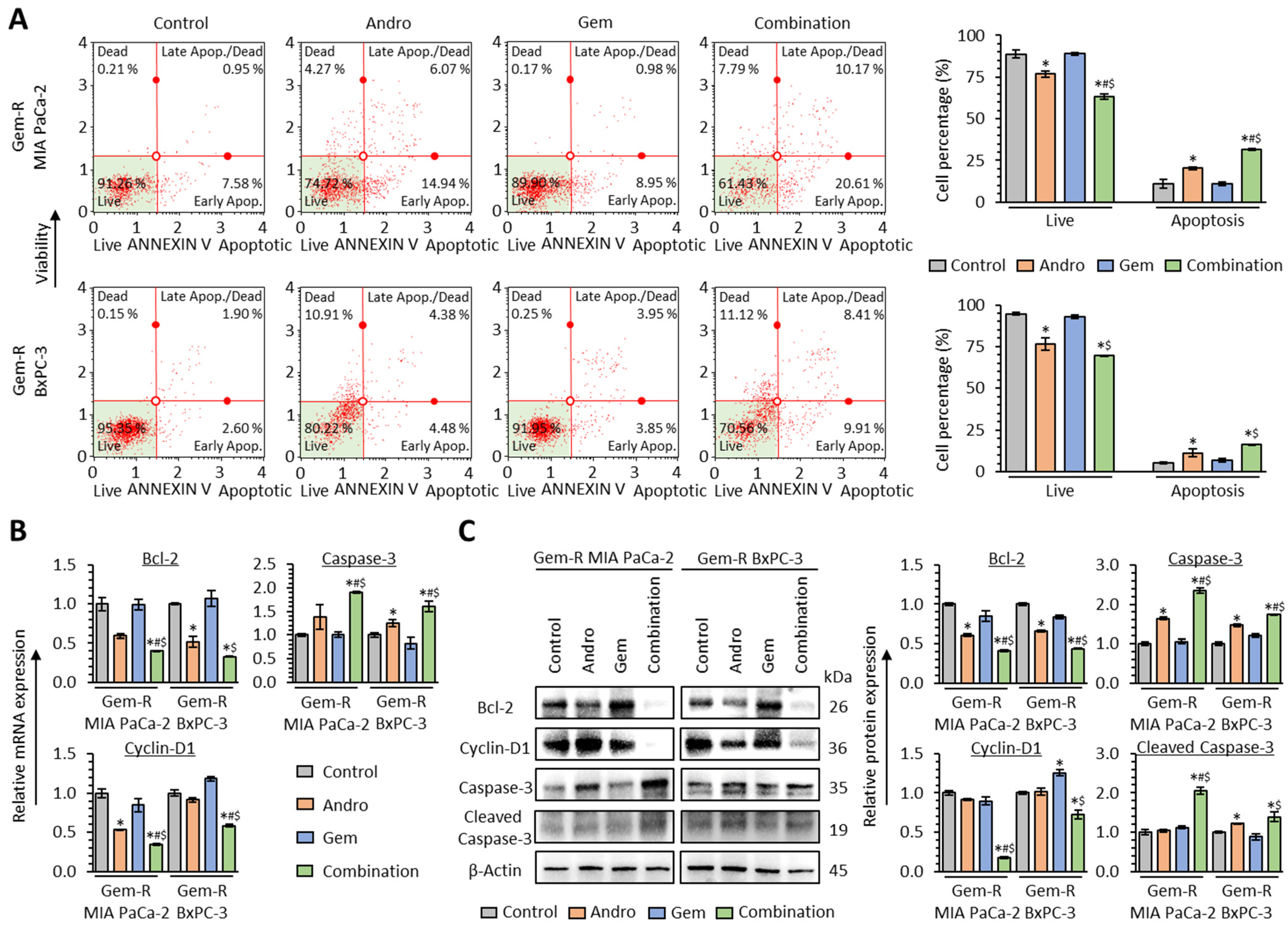 Biomedicines 11 00119 g004
