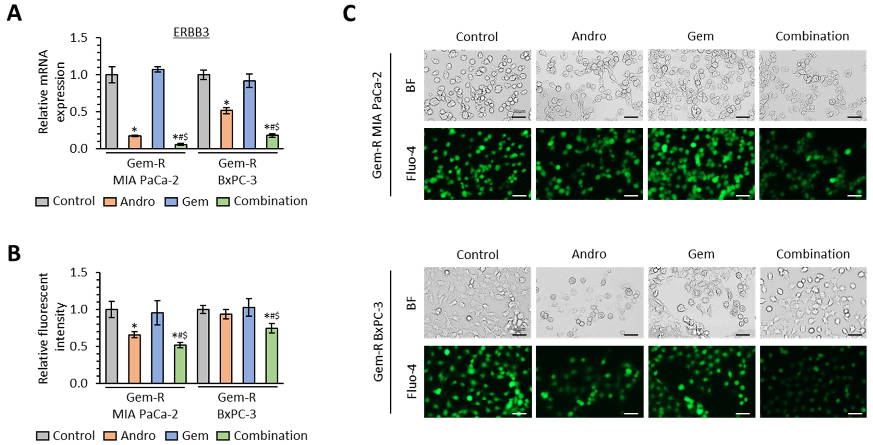 Biomedicines 11 00119 g005
