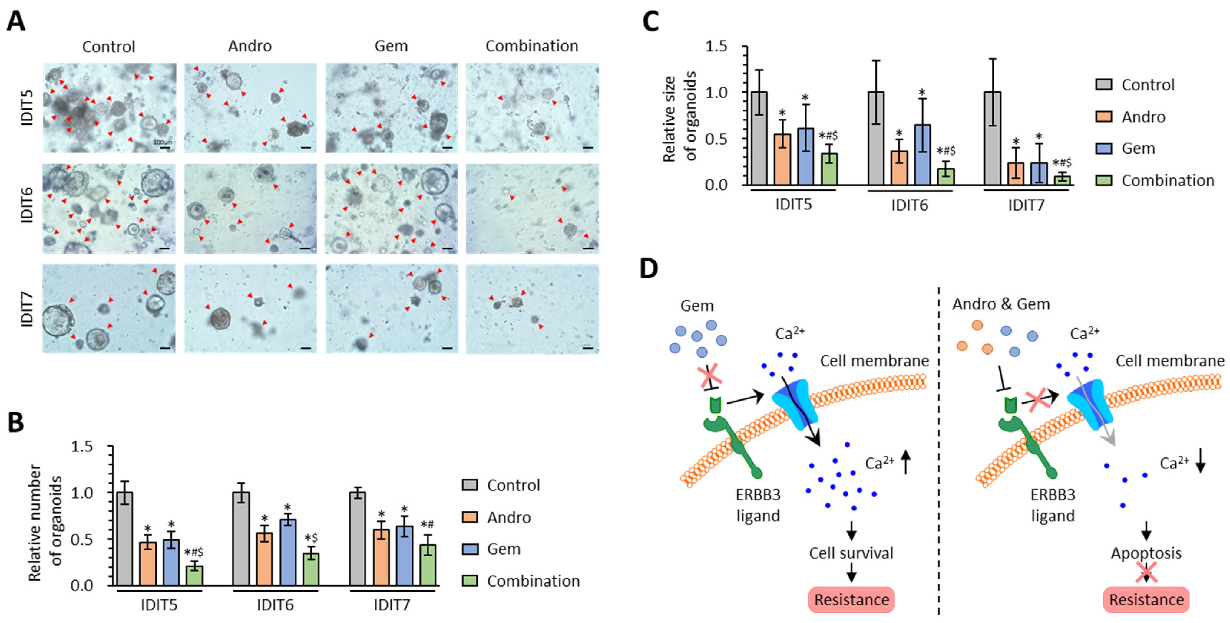 Biomedicines 11 00119 g006