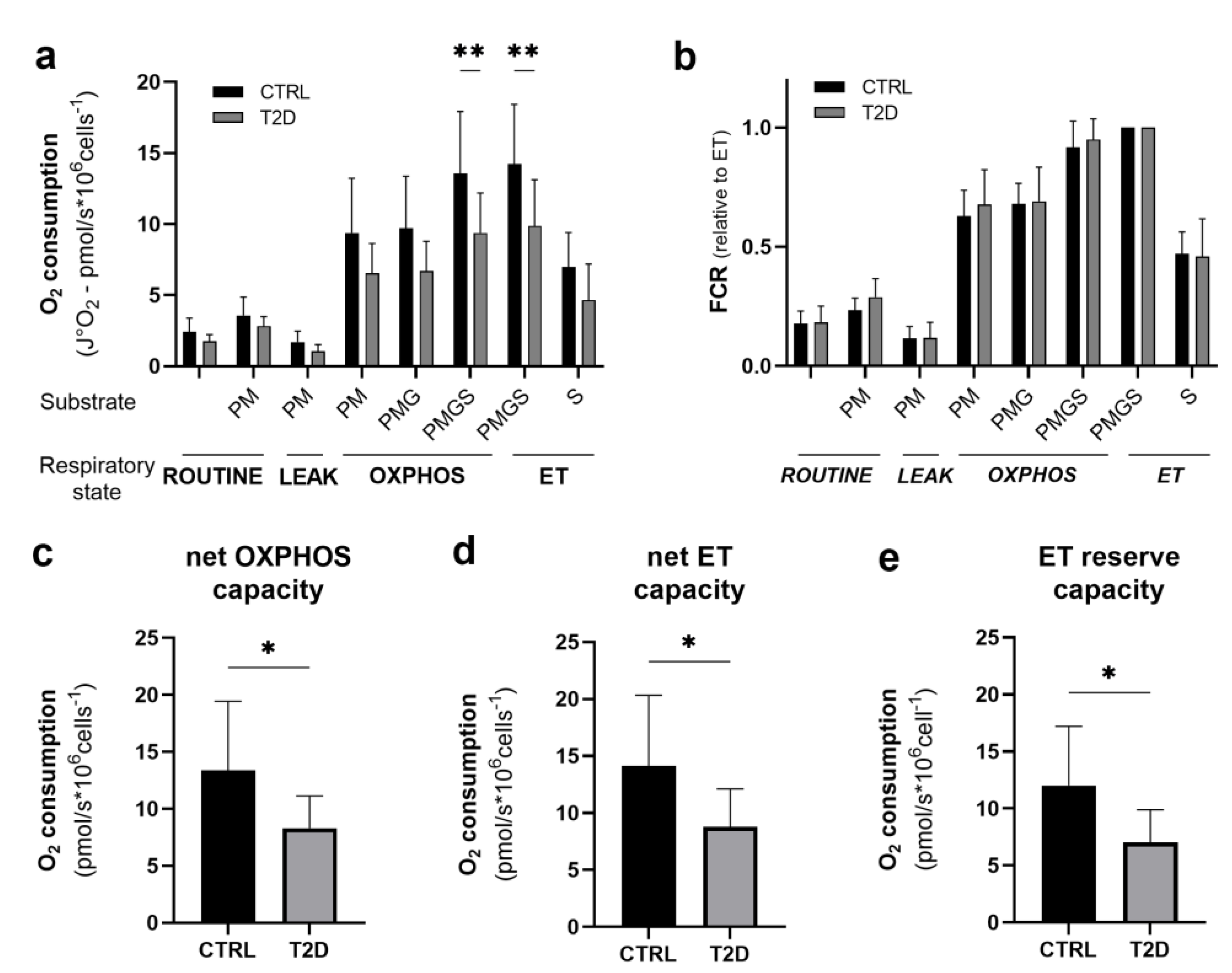 Biomedicines 11 00121 g002