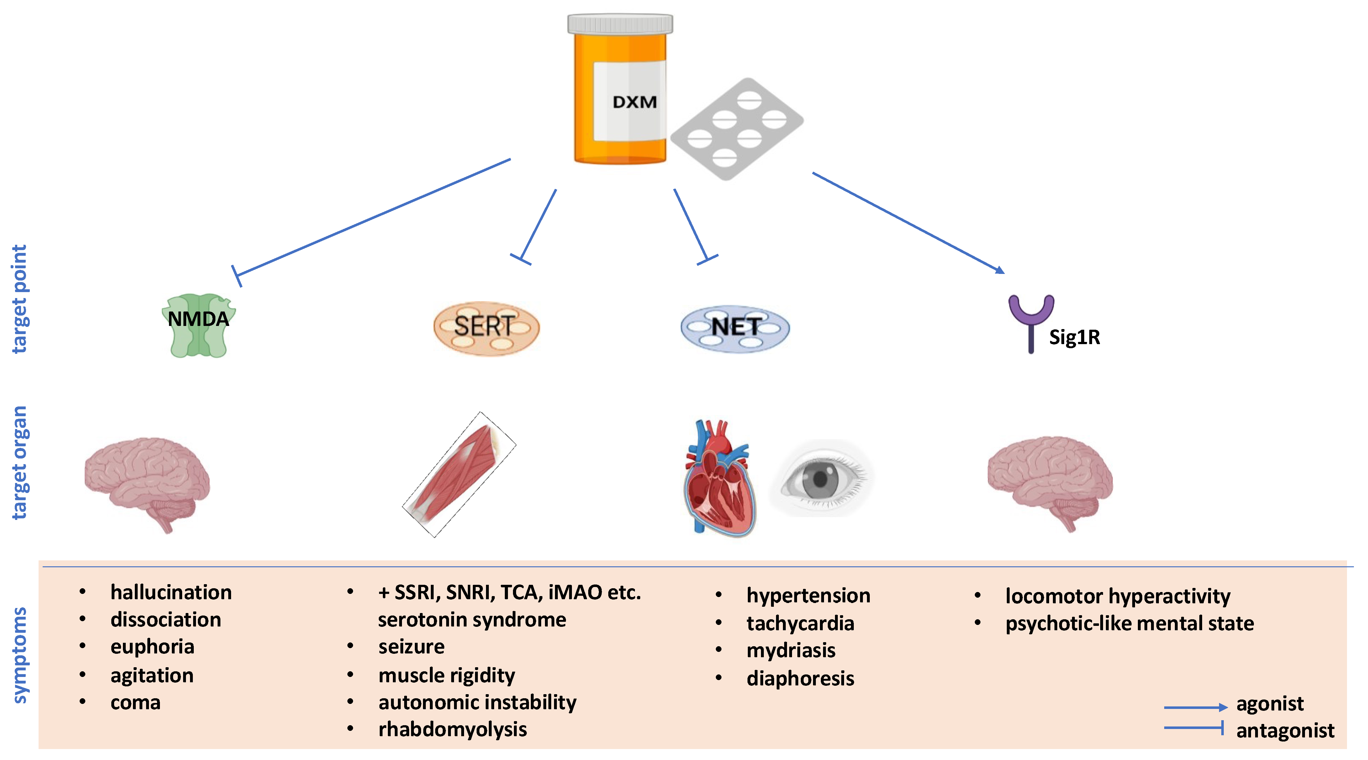 Biomedicines 11 00123 g001 Biomedicines 11 00123 g001
