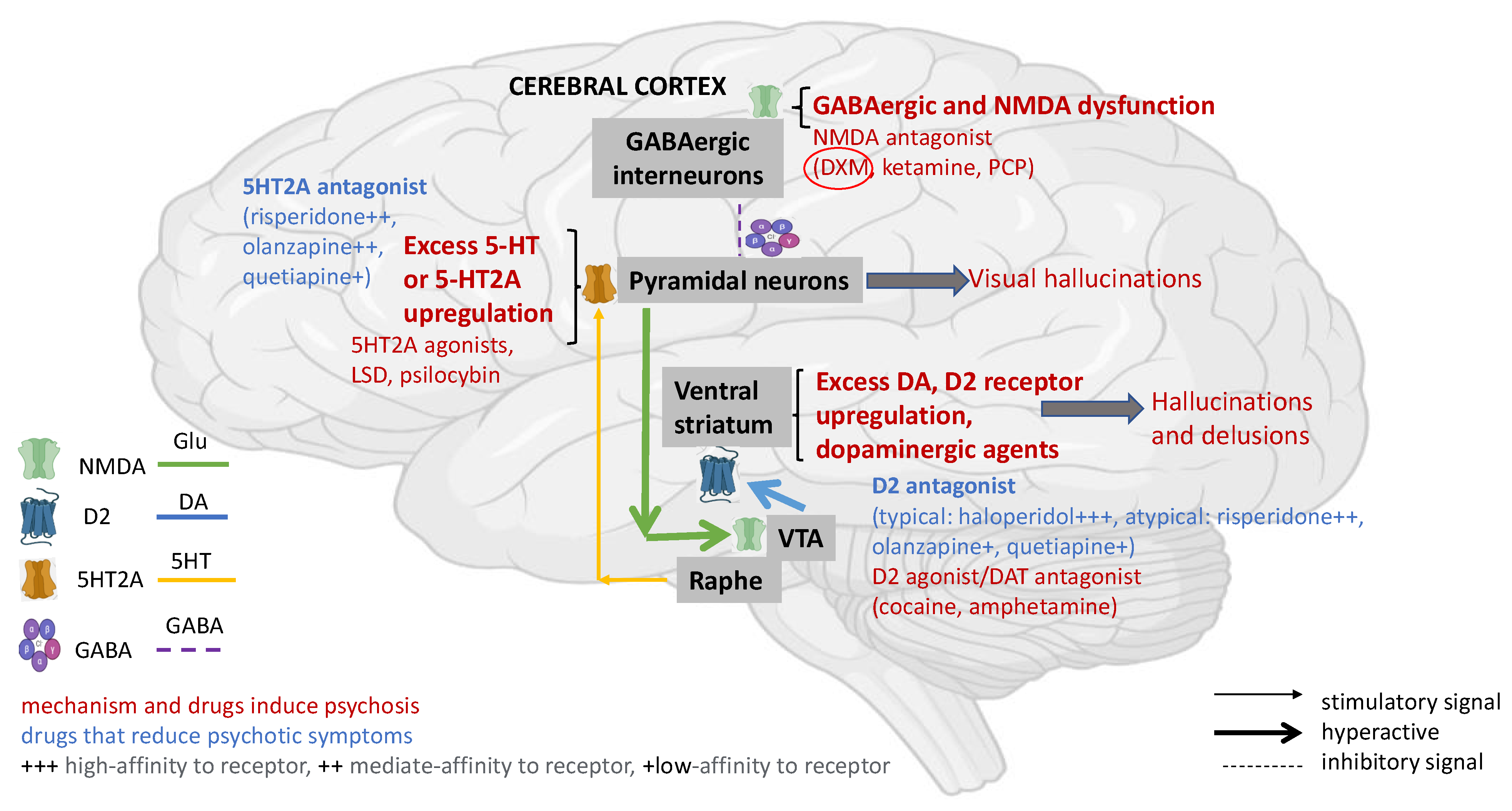 Biomedicines 11 00123 g002 Biomedicines 11 00123 g002