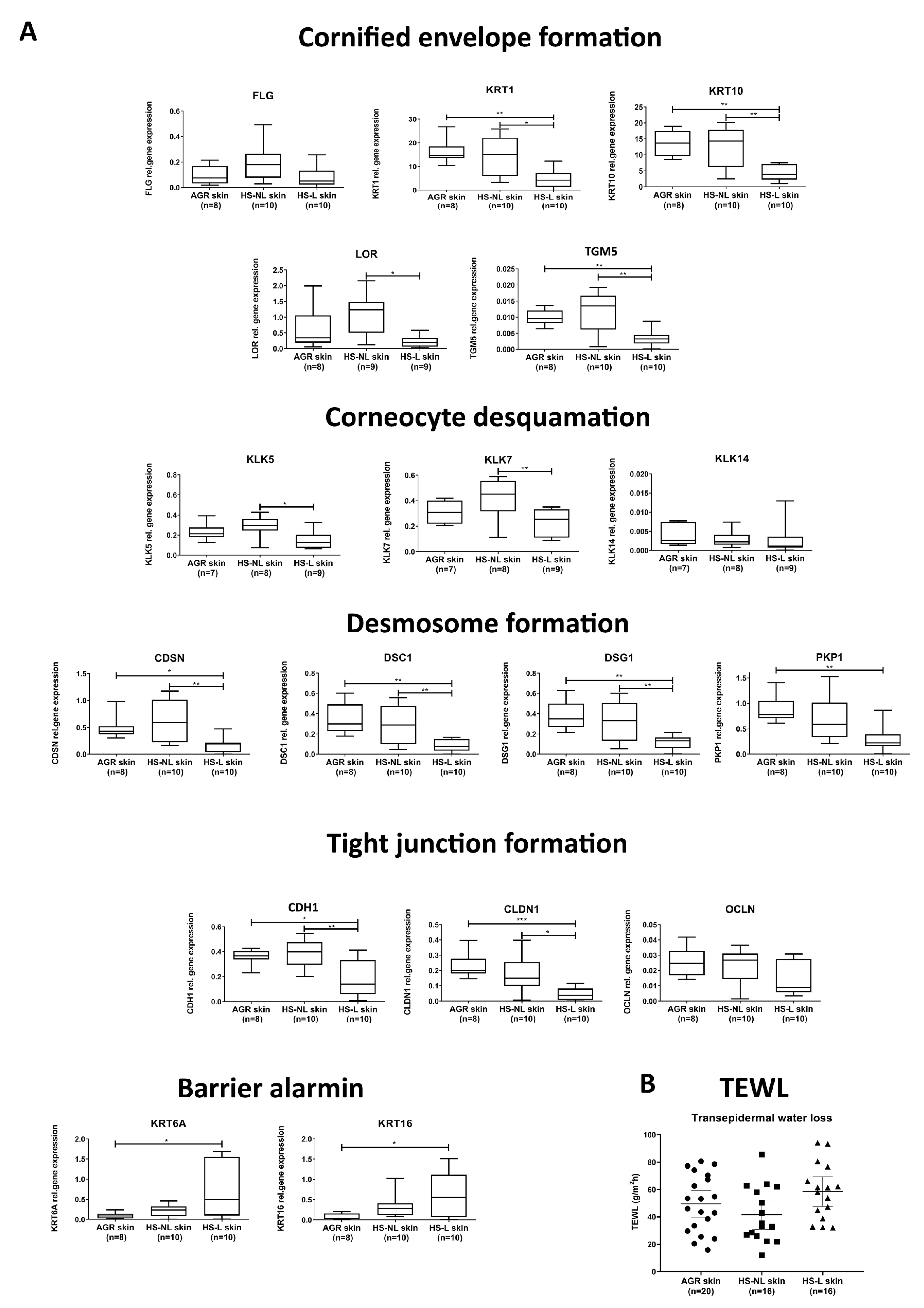 Biomedicines 11 00127 g001