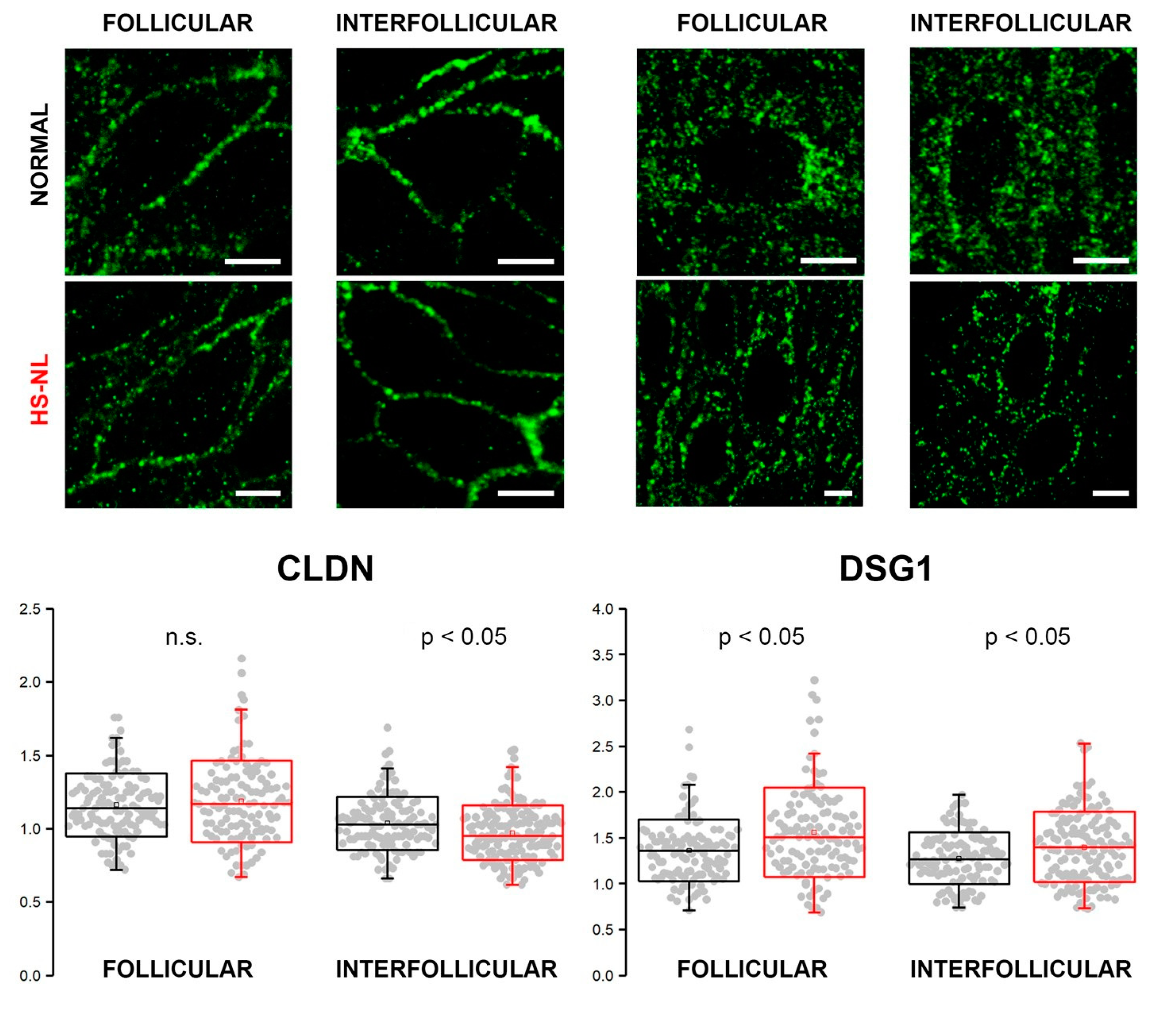 Biomedicines 11 00127 g003