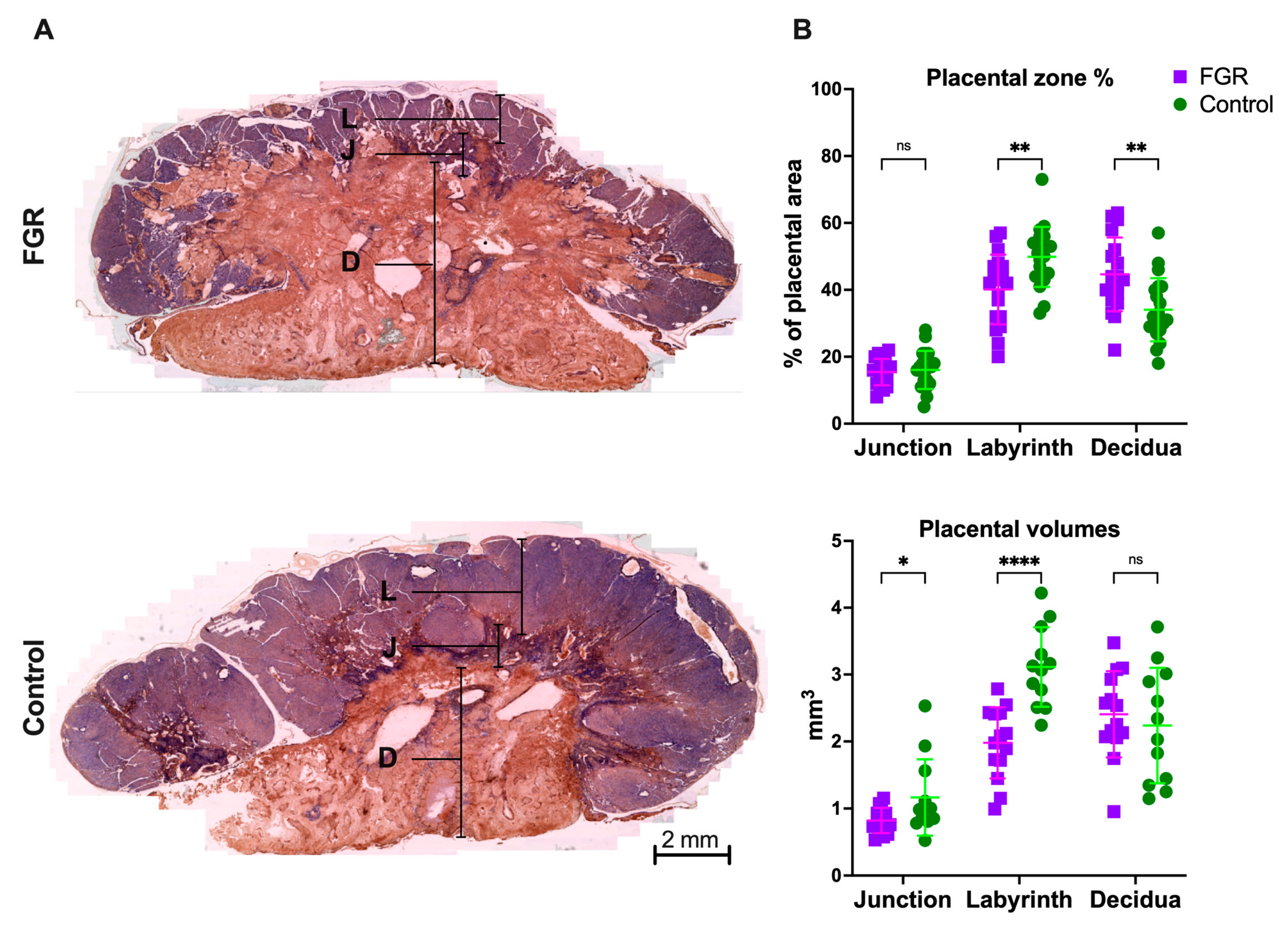 Biomedicines 11 00139 g001