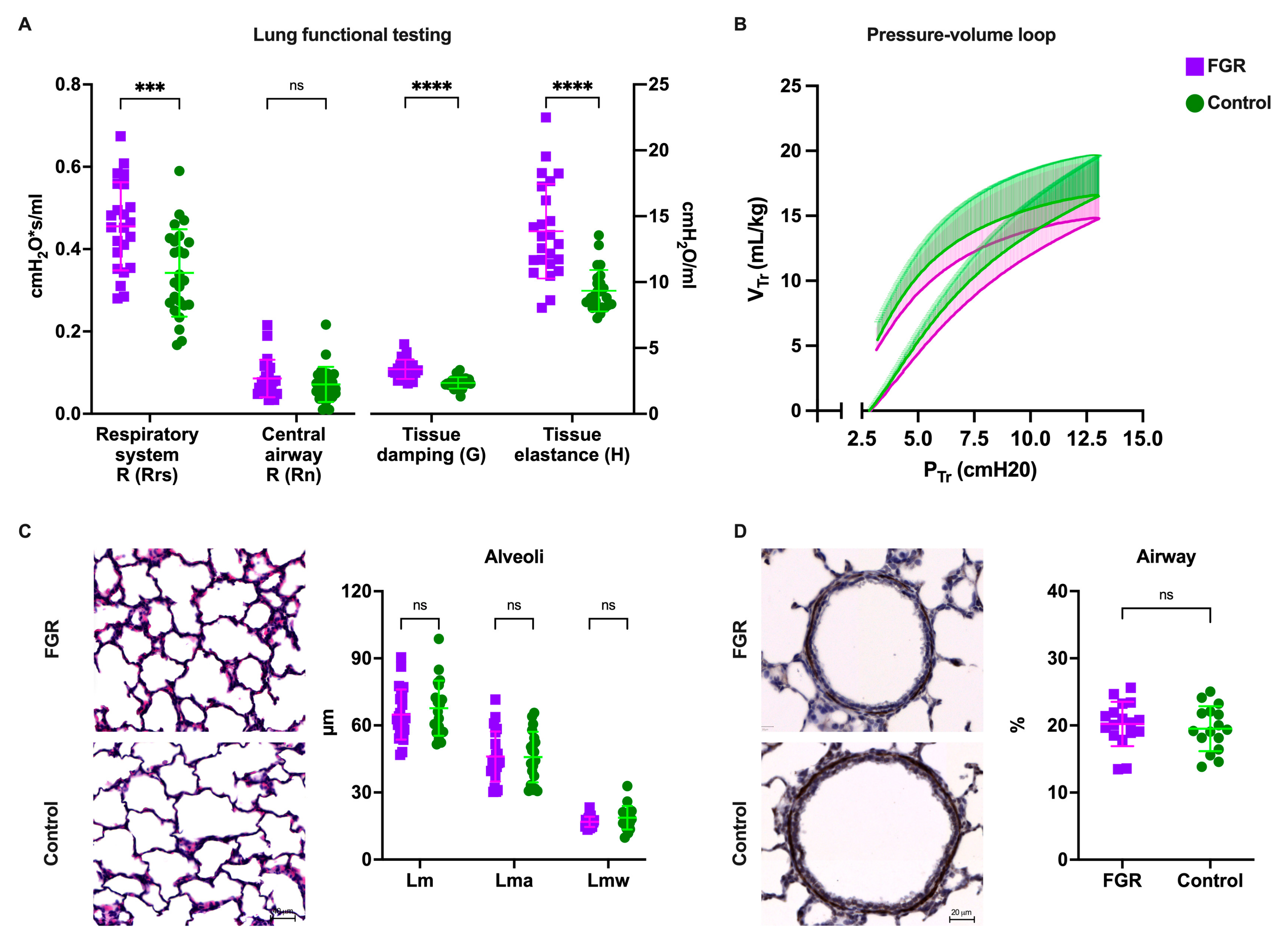 Biomedicines 11 00139 g002