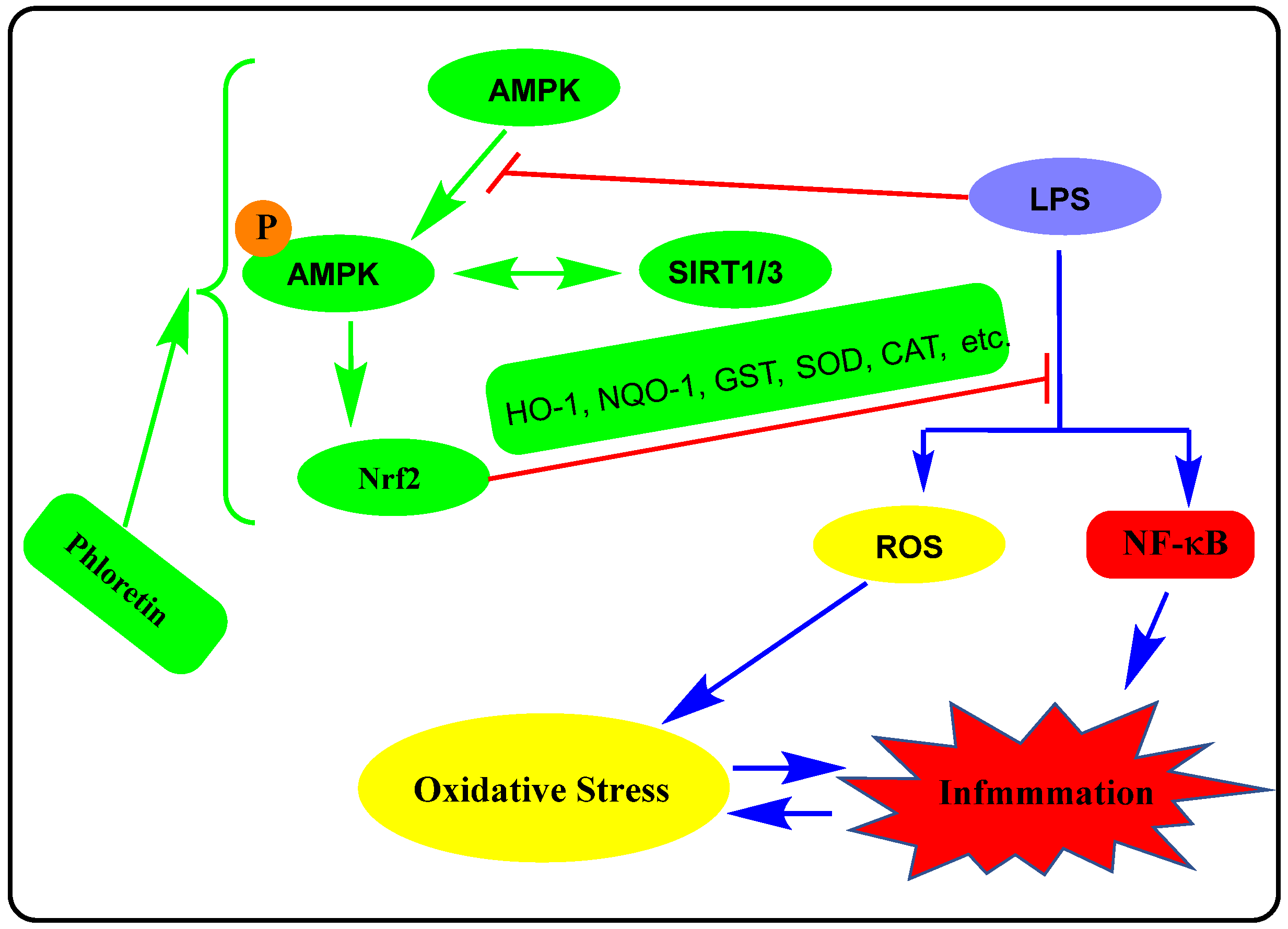 Biomedicines 11 00143 g003