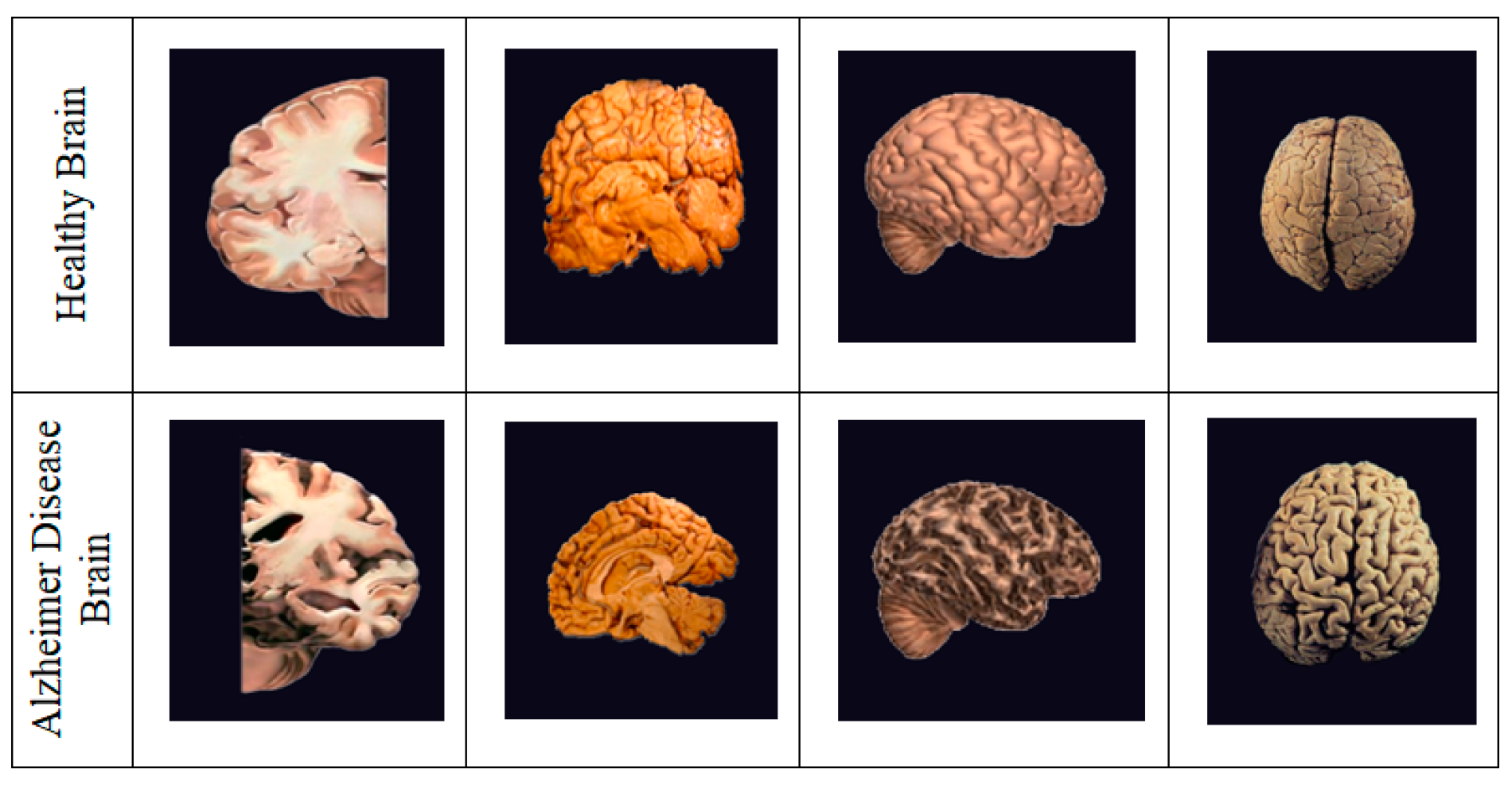 Biomedicines 11 00149 g001