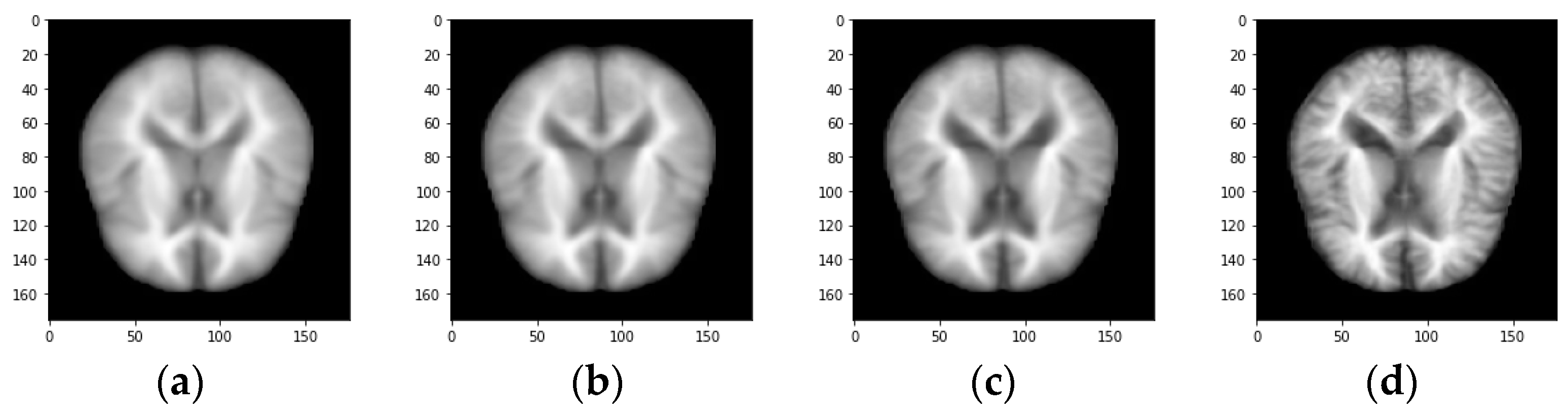 Biomedicines 11 00149 g003
