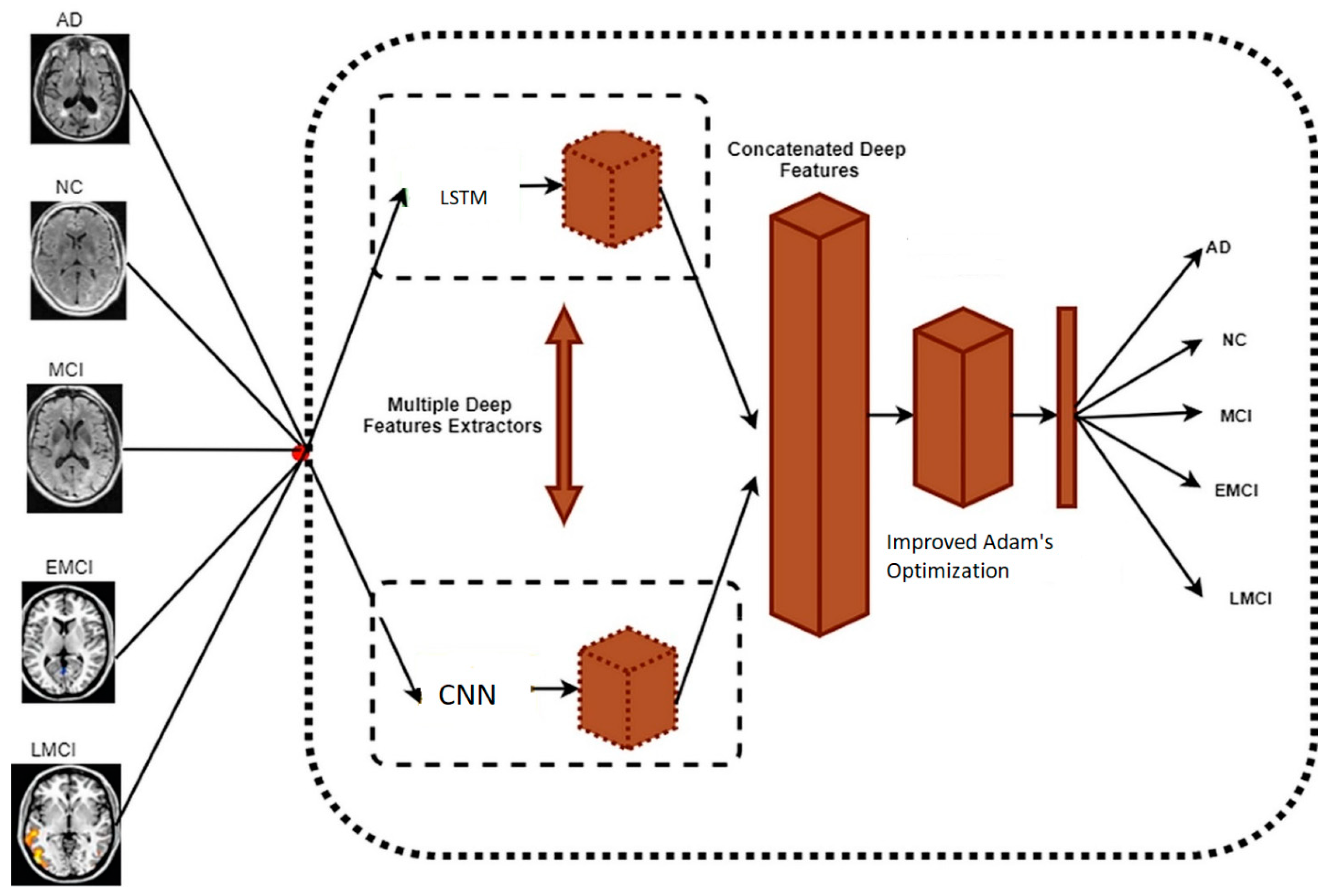 Biomedicines 11 00149 g005