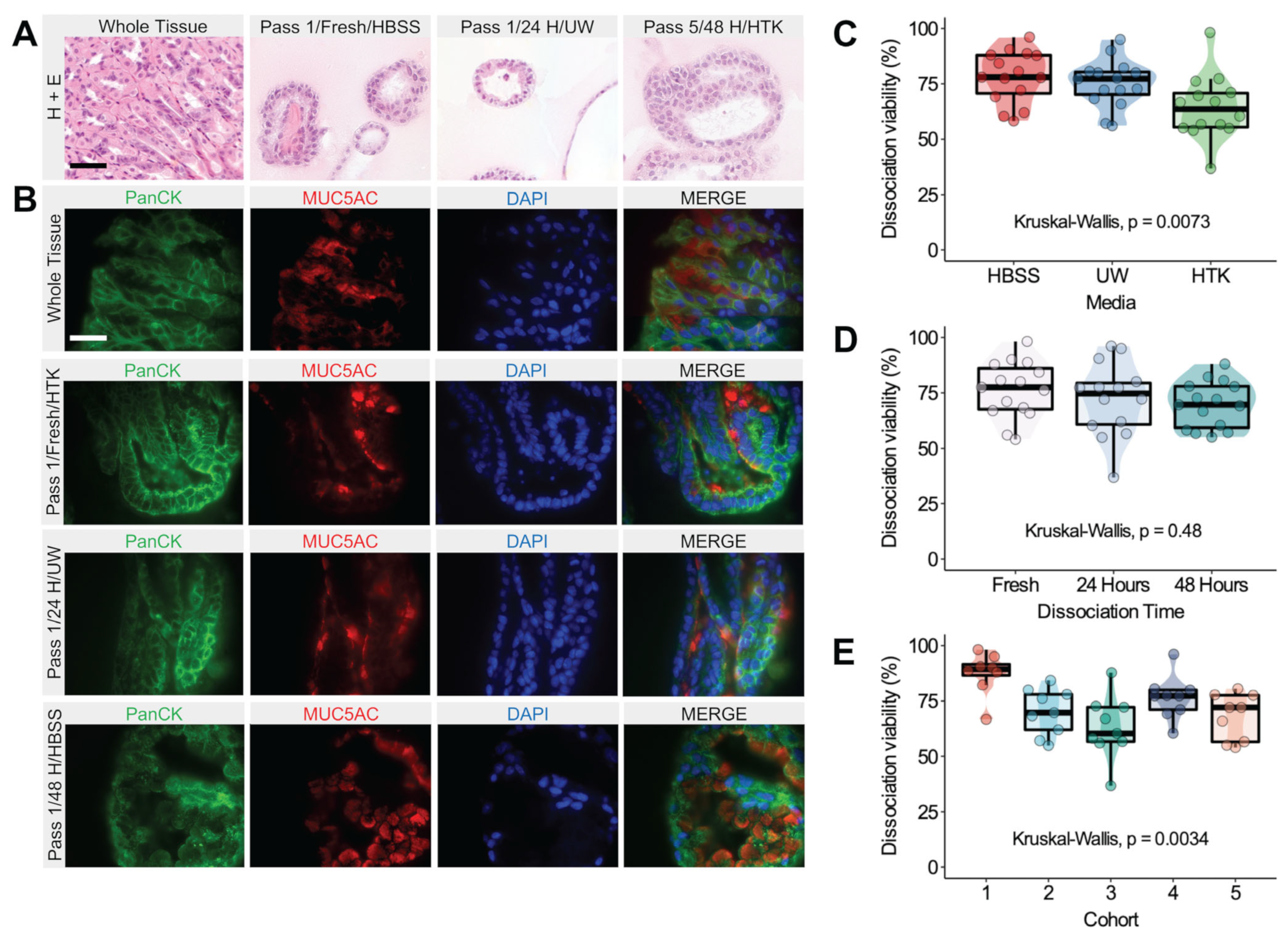 Biomedicines 11 00151 g002