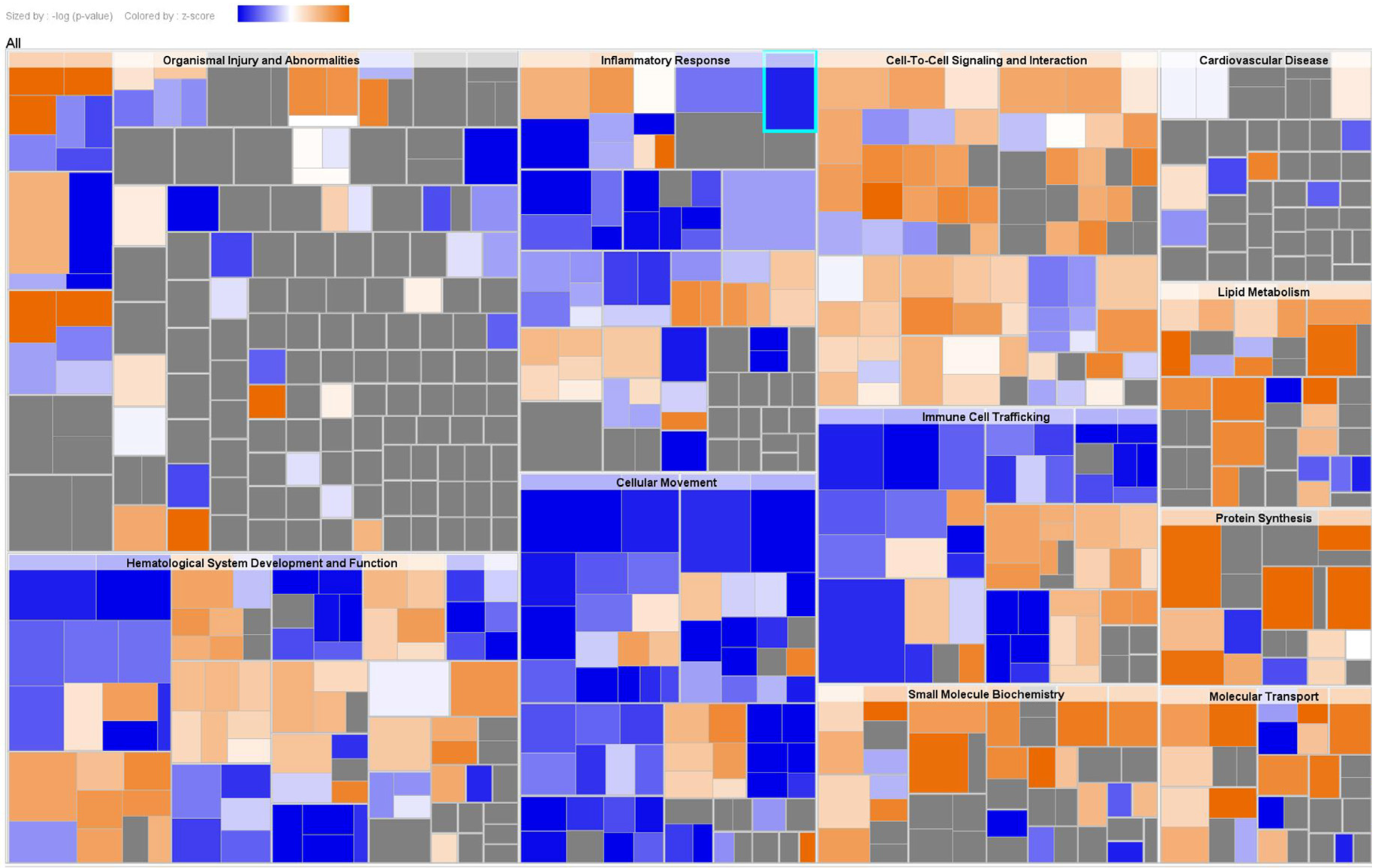 Biomedicines 11 00161 g003 Biomedicines 11 00161 g003