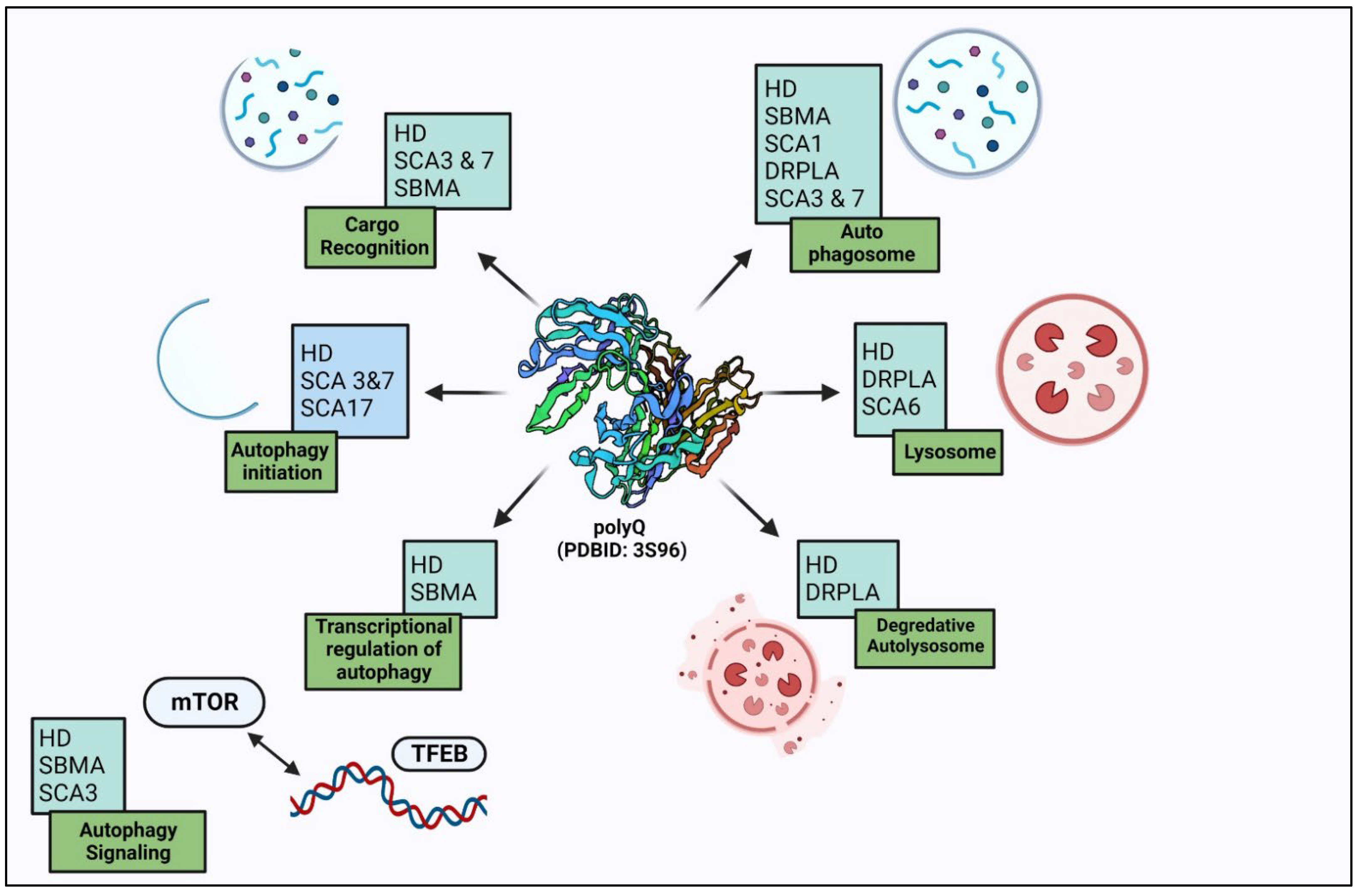 Biomedicines 11 00162 g002
