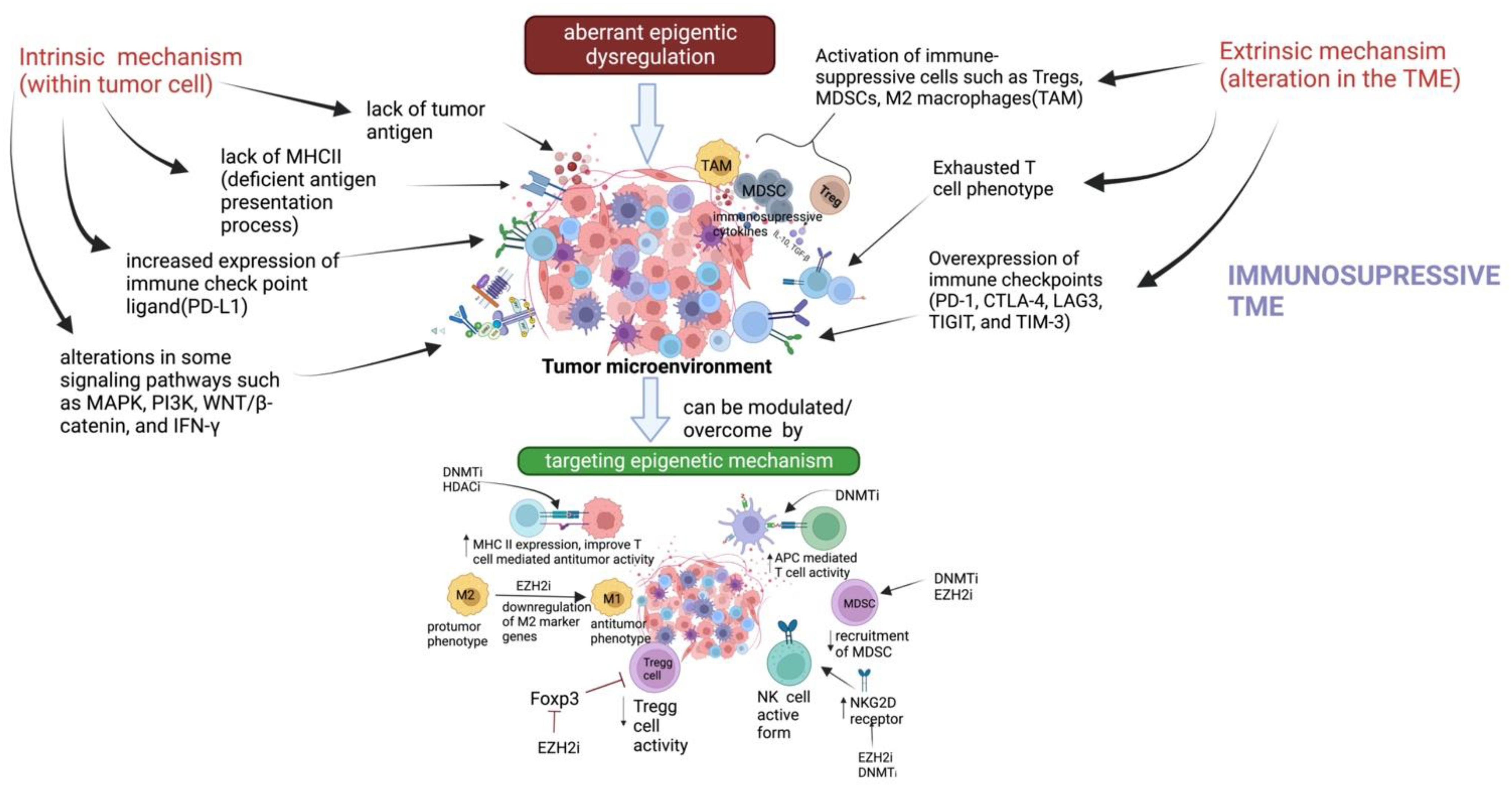 Biomedicines 11 00169 g001