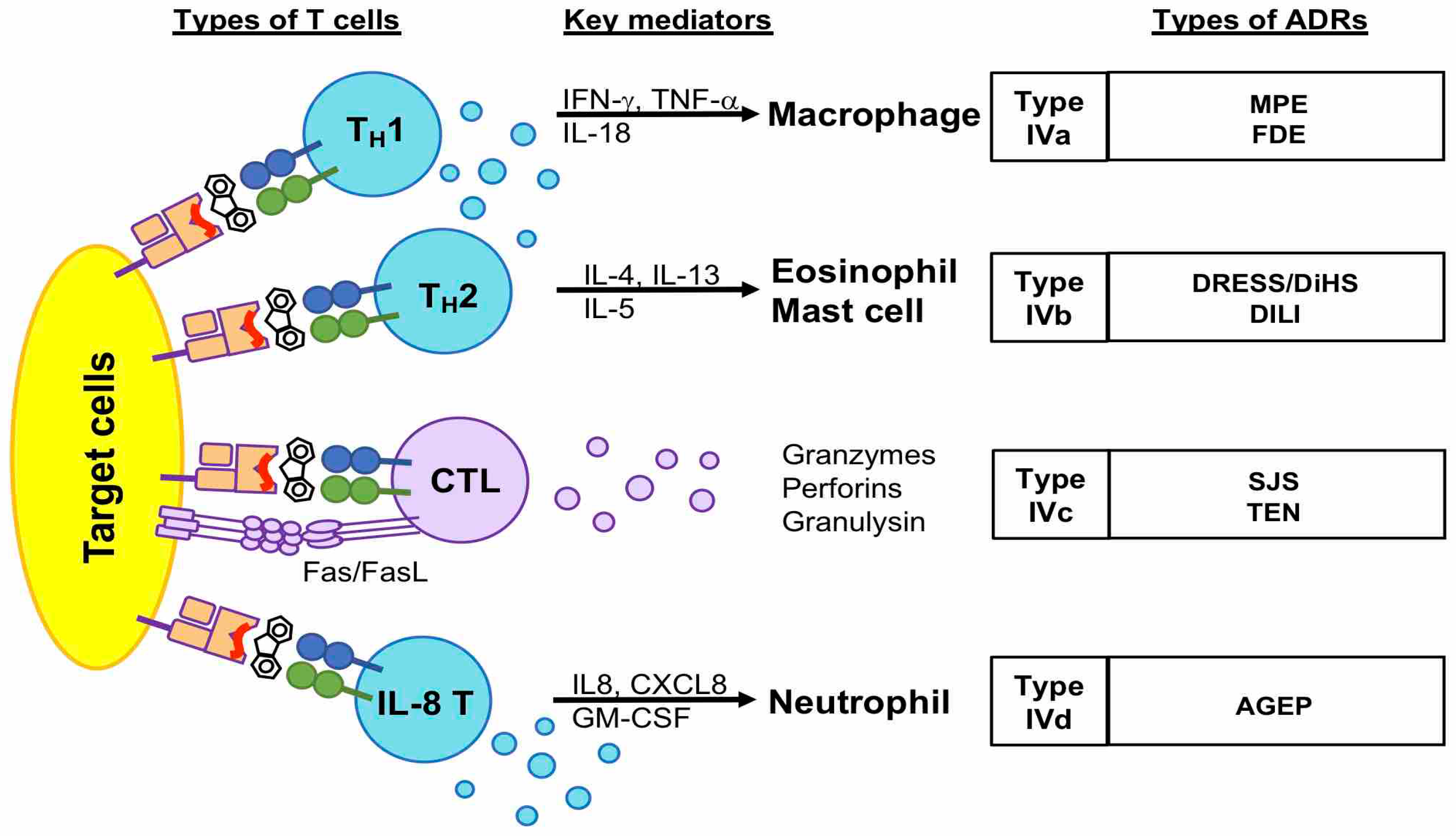 Biomedicines 11 00177 g001