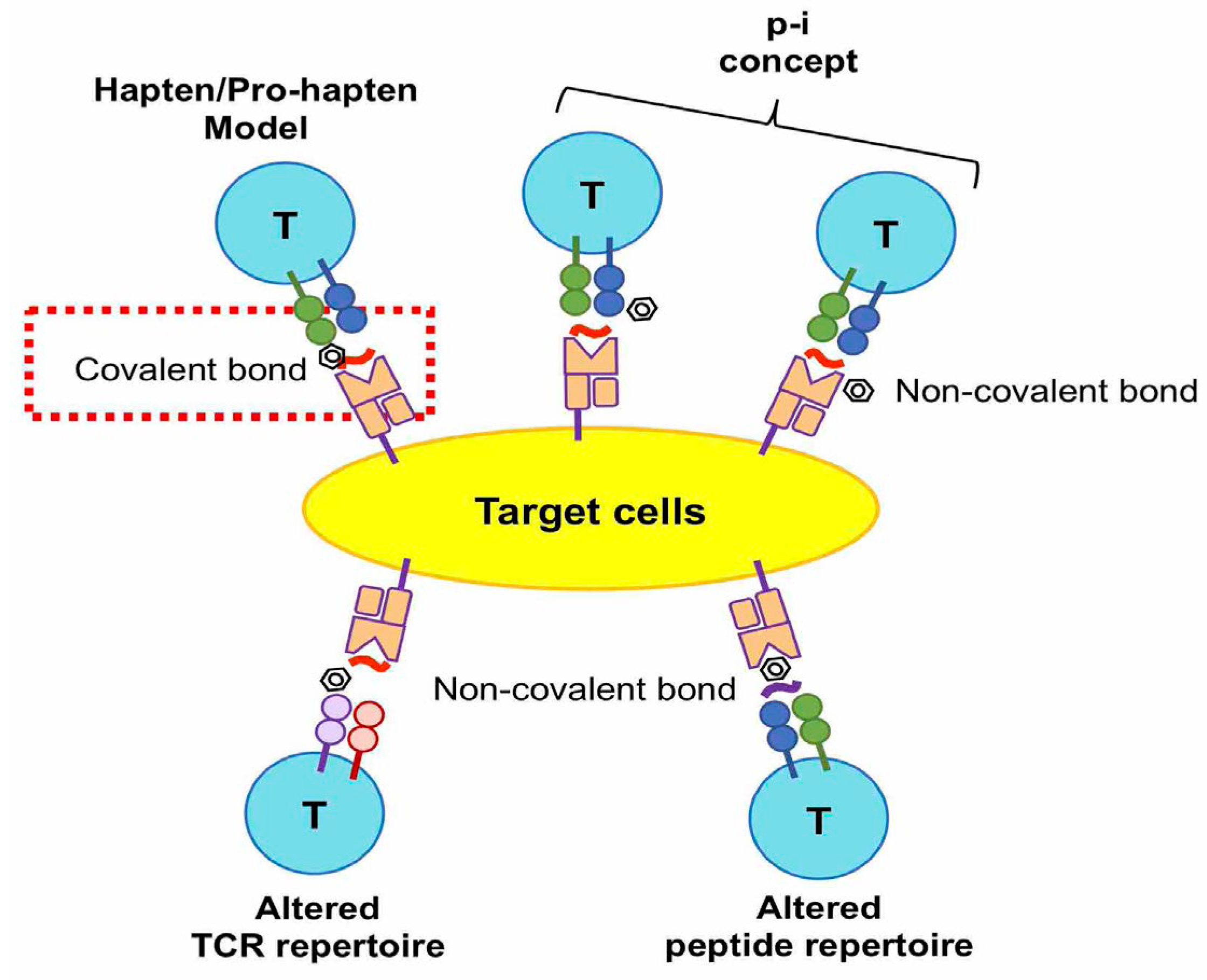 Biomedicines 11 00177 g002