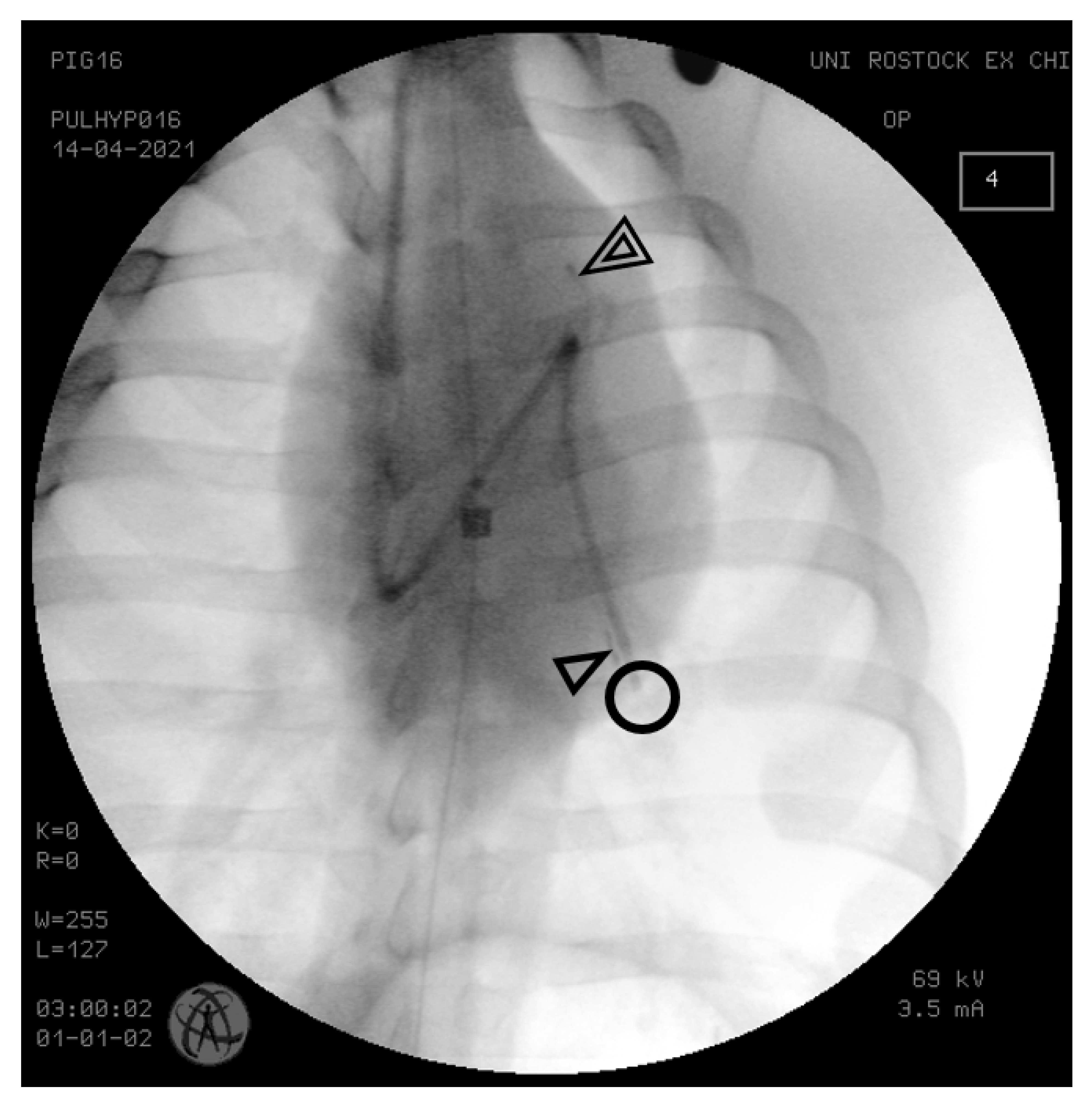 Biomedicines 11 00182 g001