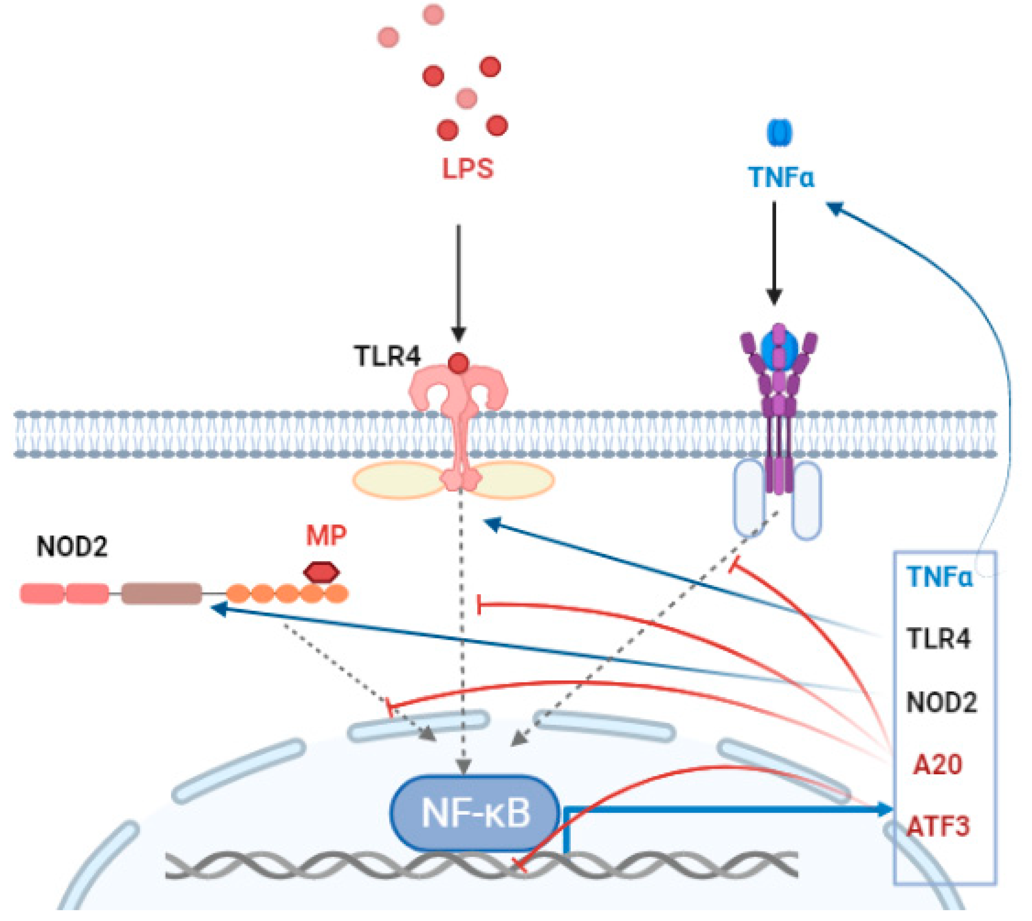 Biomedicines 11 00183 g003