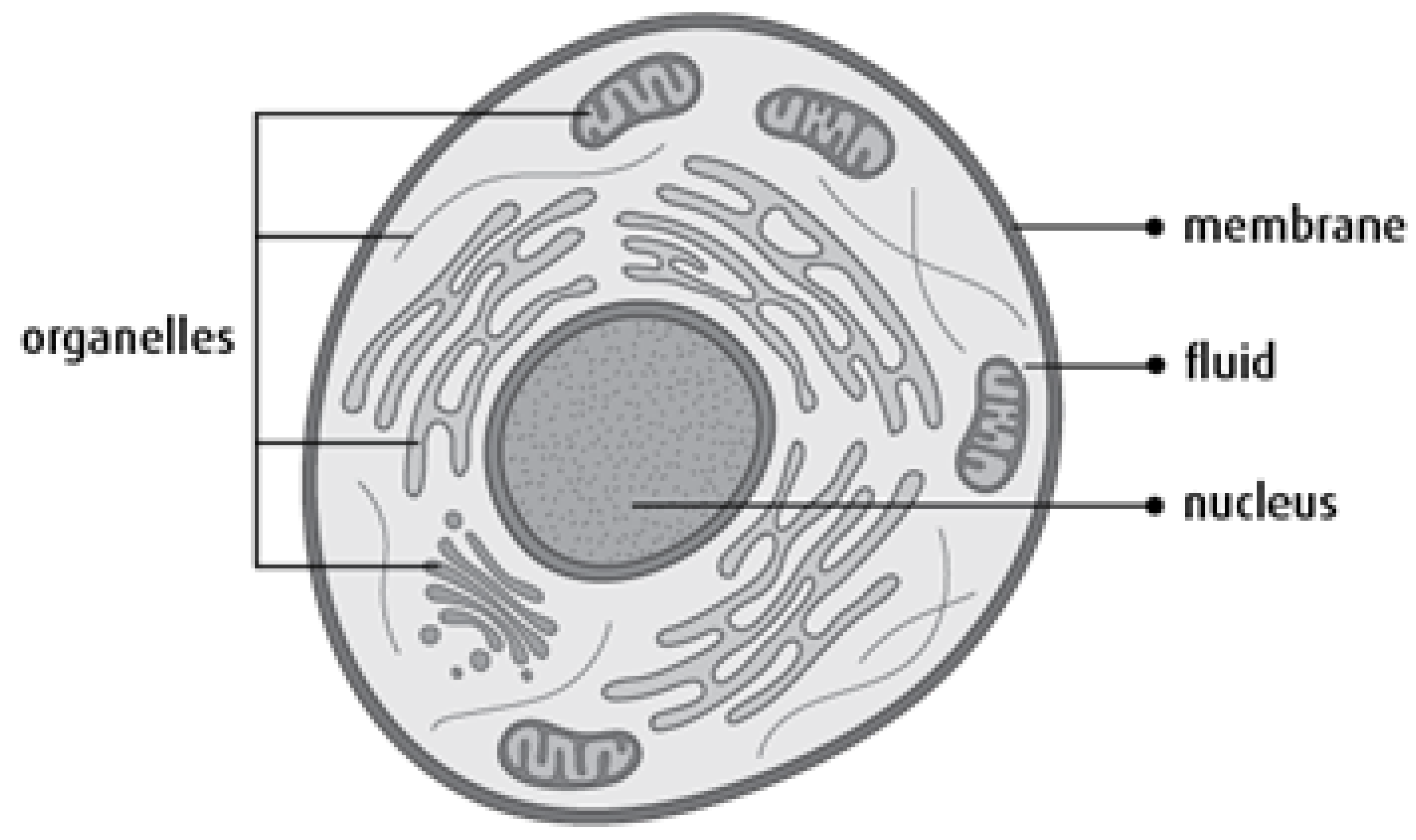 Biomedicines 11 00184 g001 Biomedicines 11 00184 g001