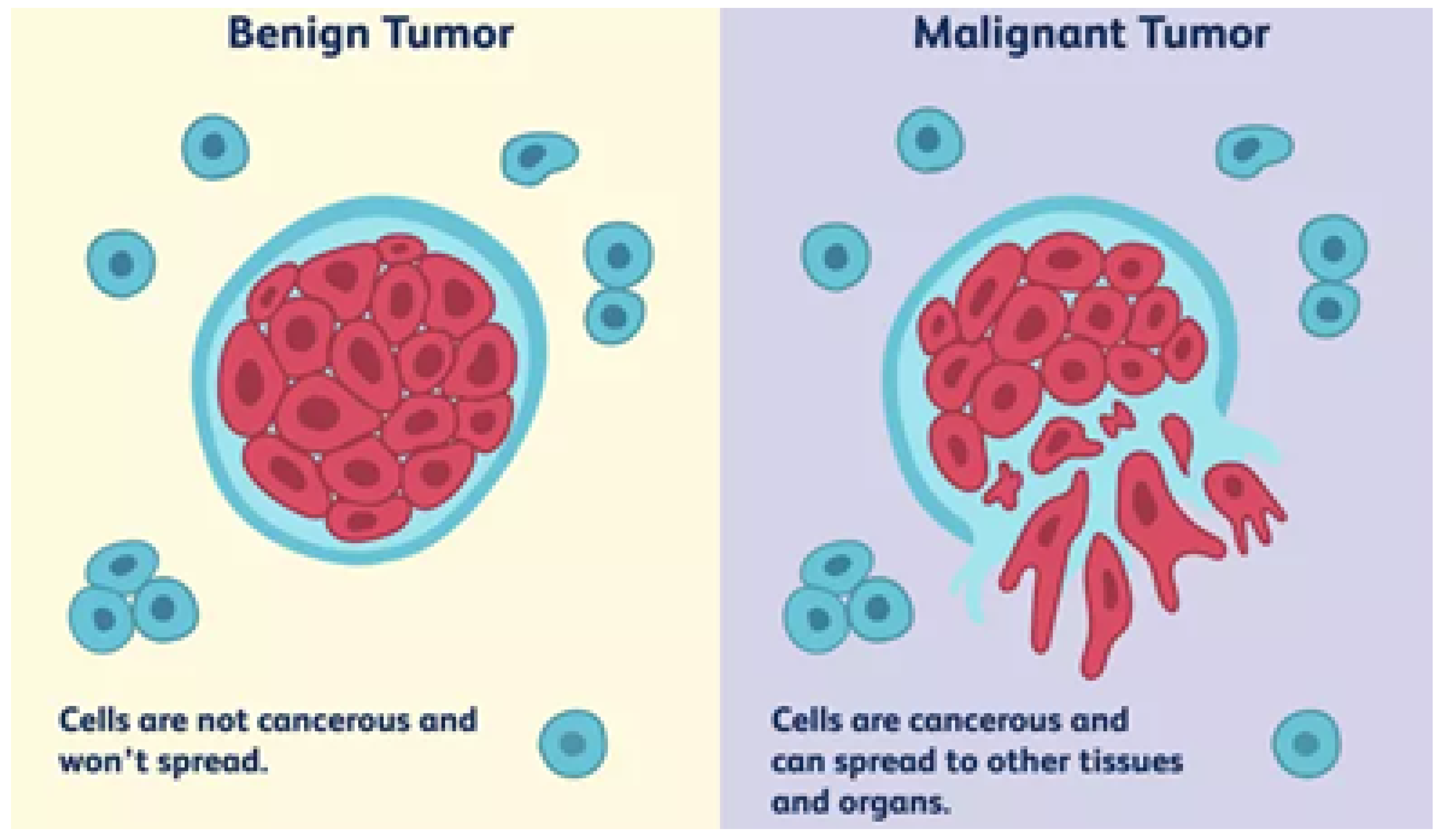 Biomedicines 11 00184 g004 Biomedicines 11 00184 g004