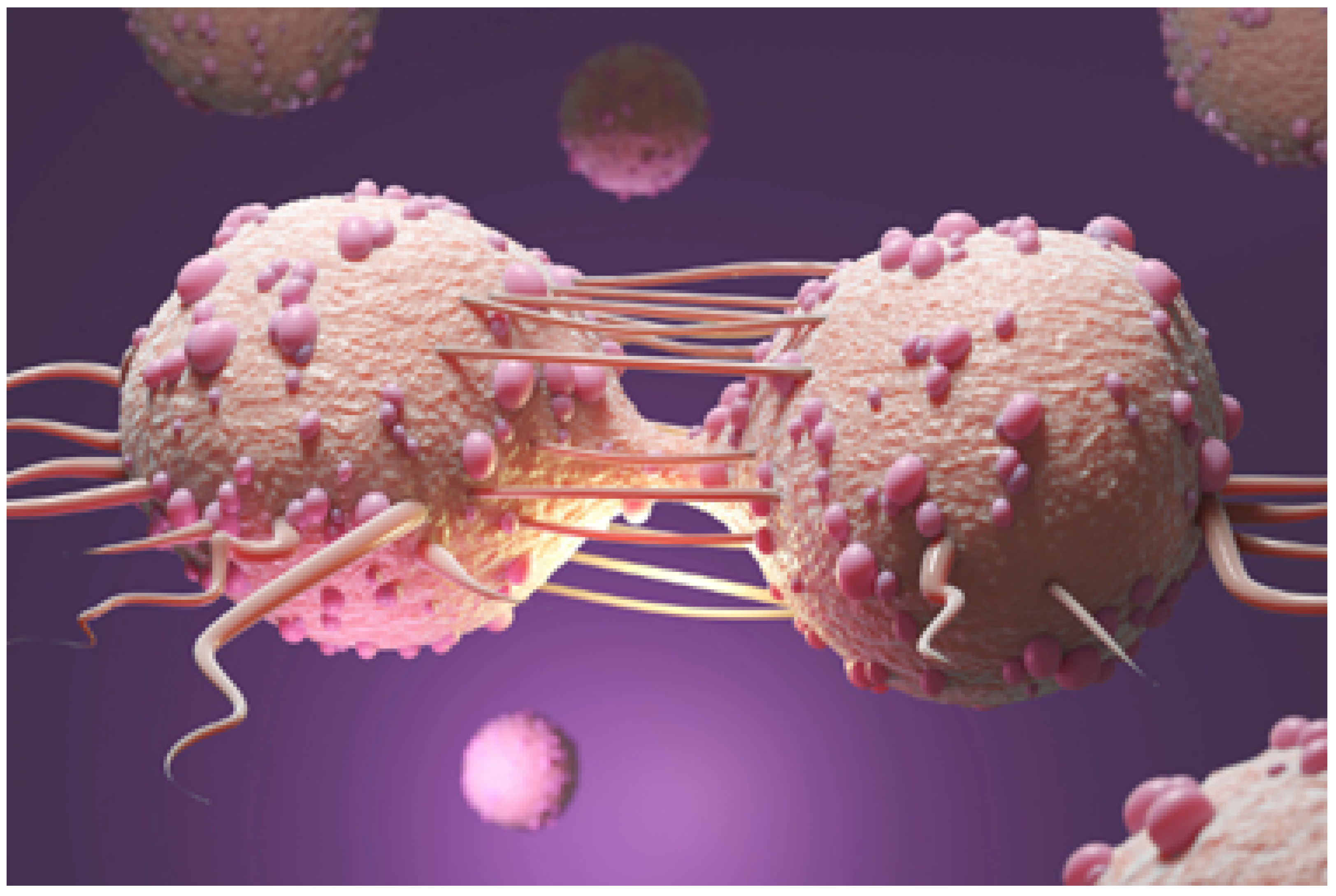 Biomedicines 11 00184 g005 Biomedicines 11 00184 g005