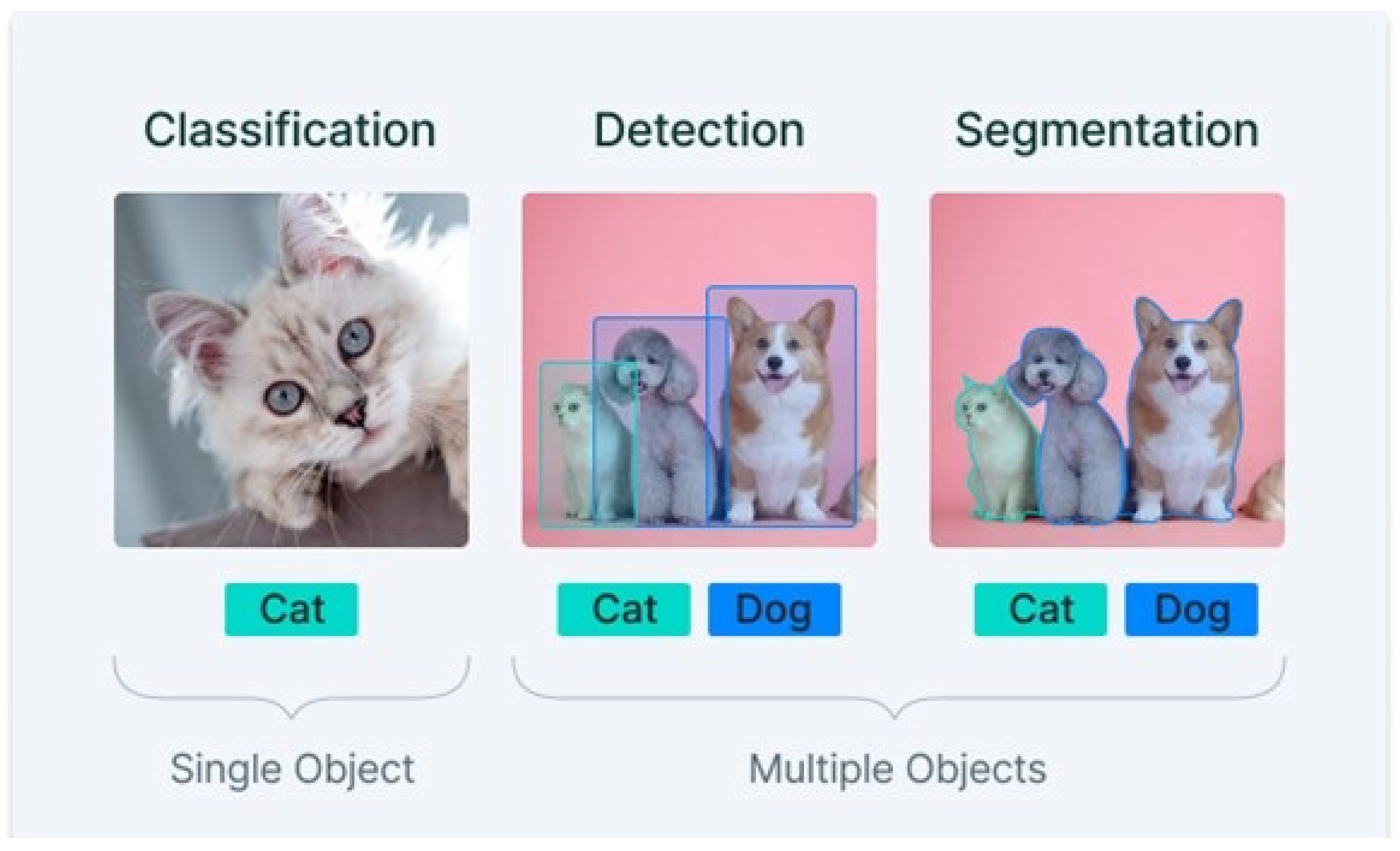 Biomedicines 11 00184 g006 Biomedicines 11 00184 g006