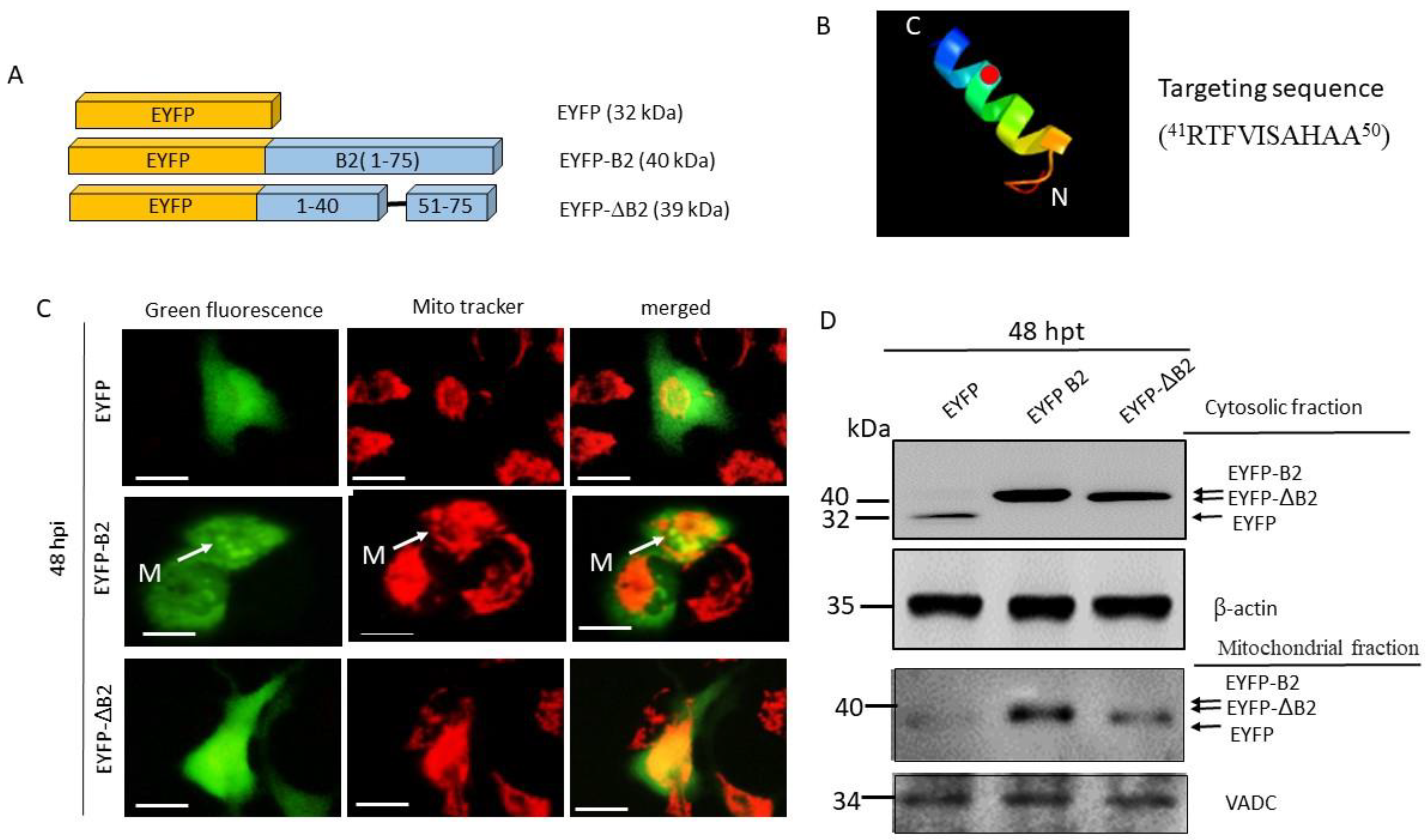 Biomedicines 11 00186 g001