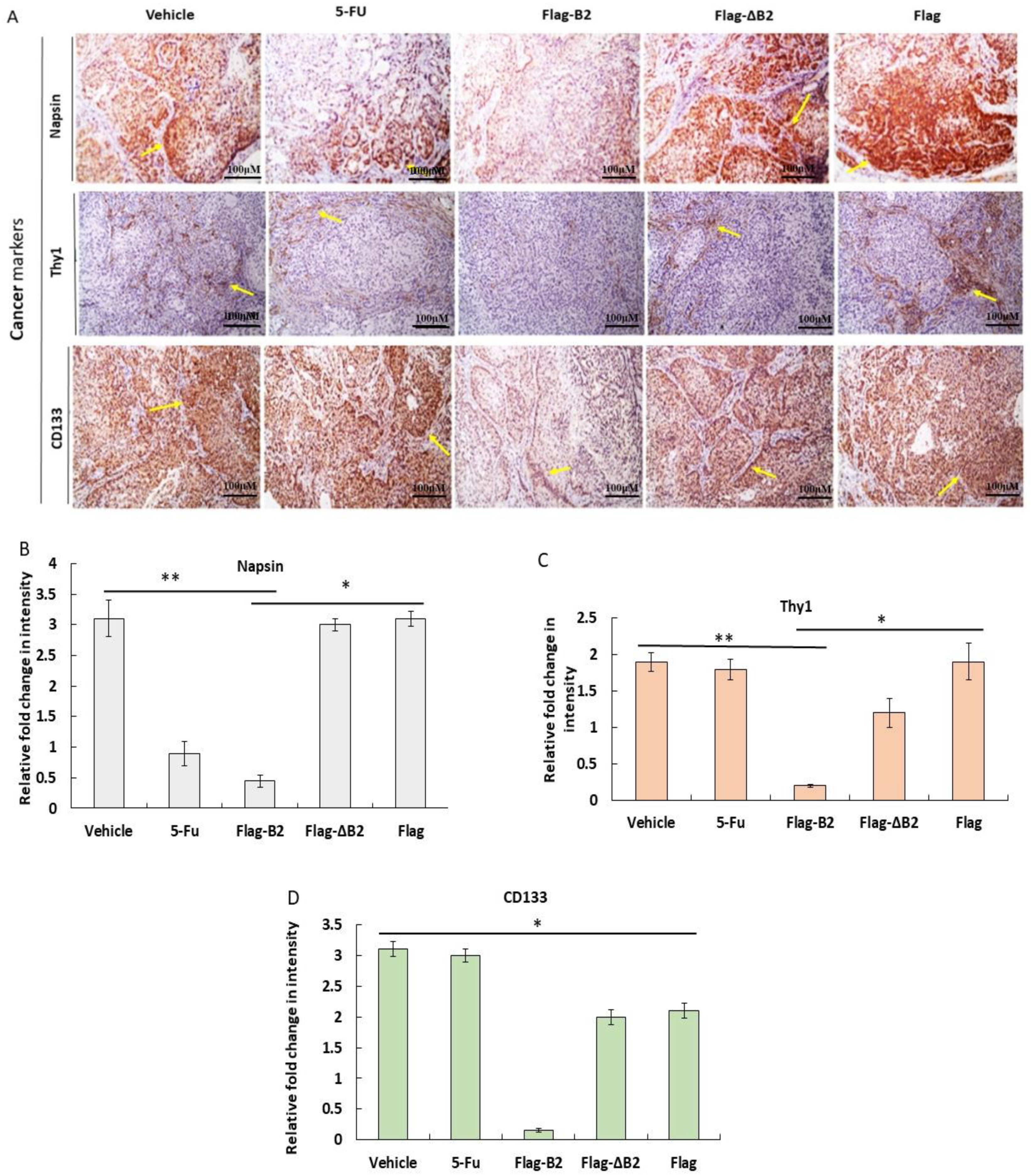 Biomedicines 11 00186 g007