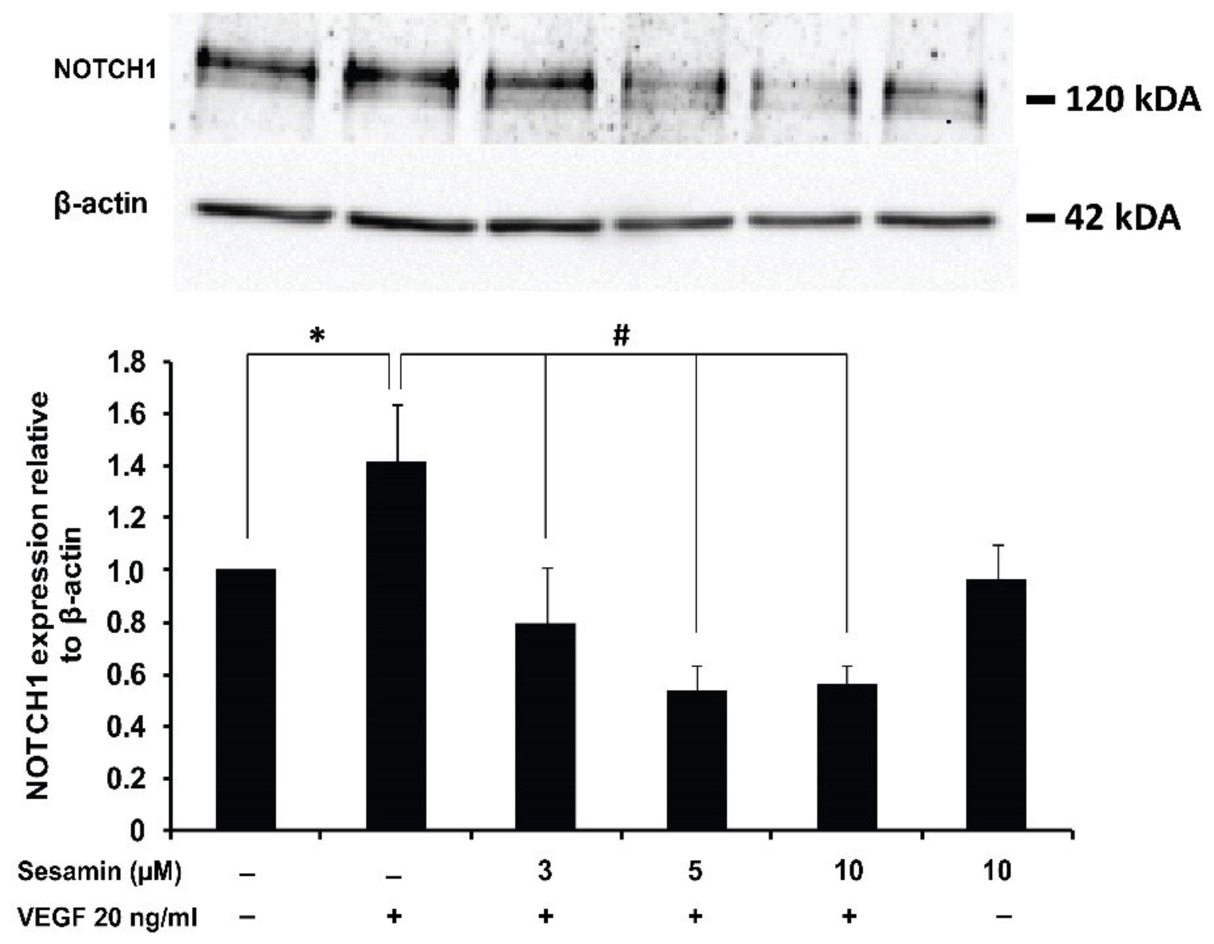 Biomedicines 11 00188 g006 Biomedicines 11 00188 g006