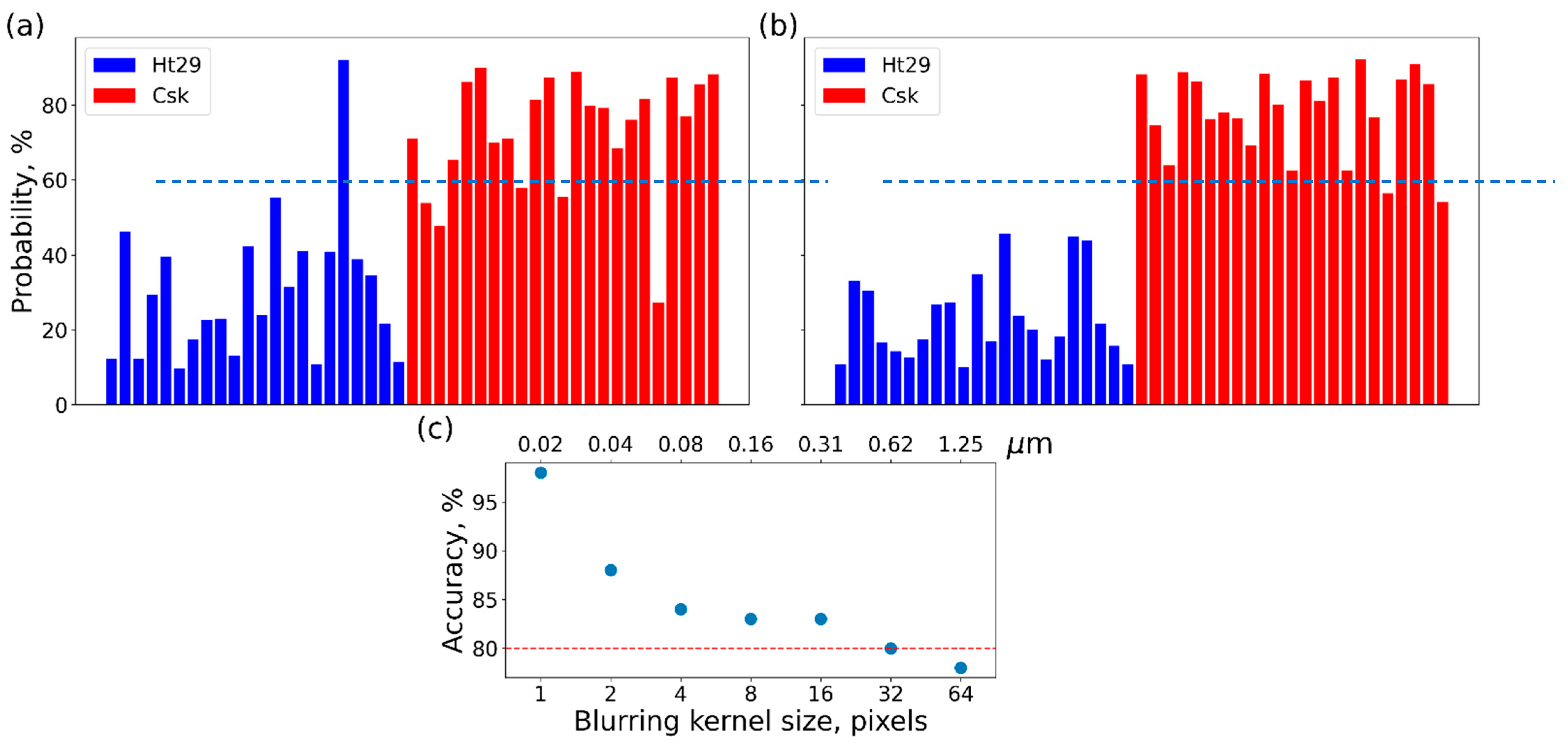 Biomedicines 11 00191 g002