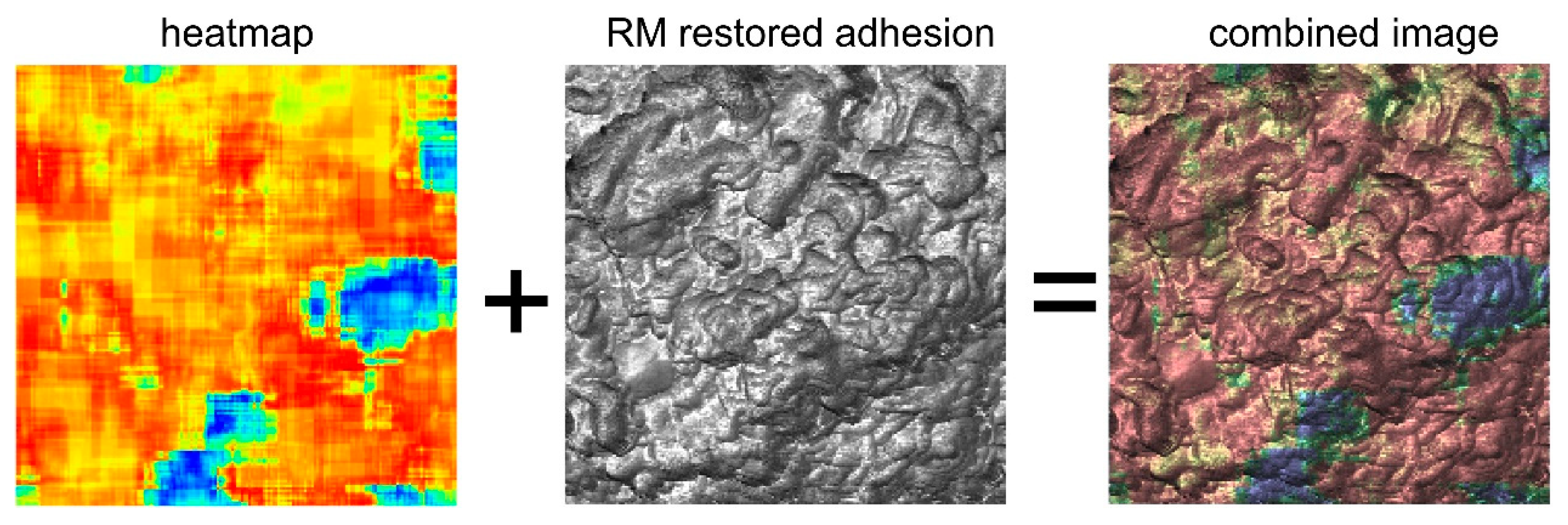 Biomedicines 11 00191 g005