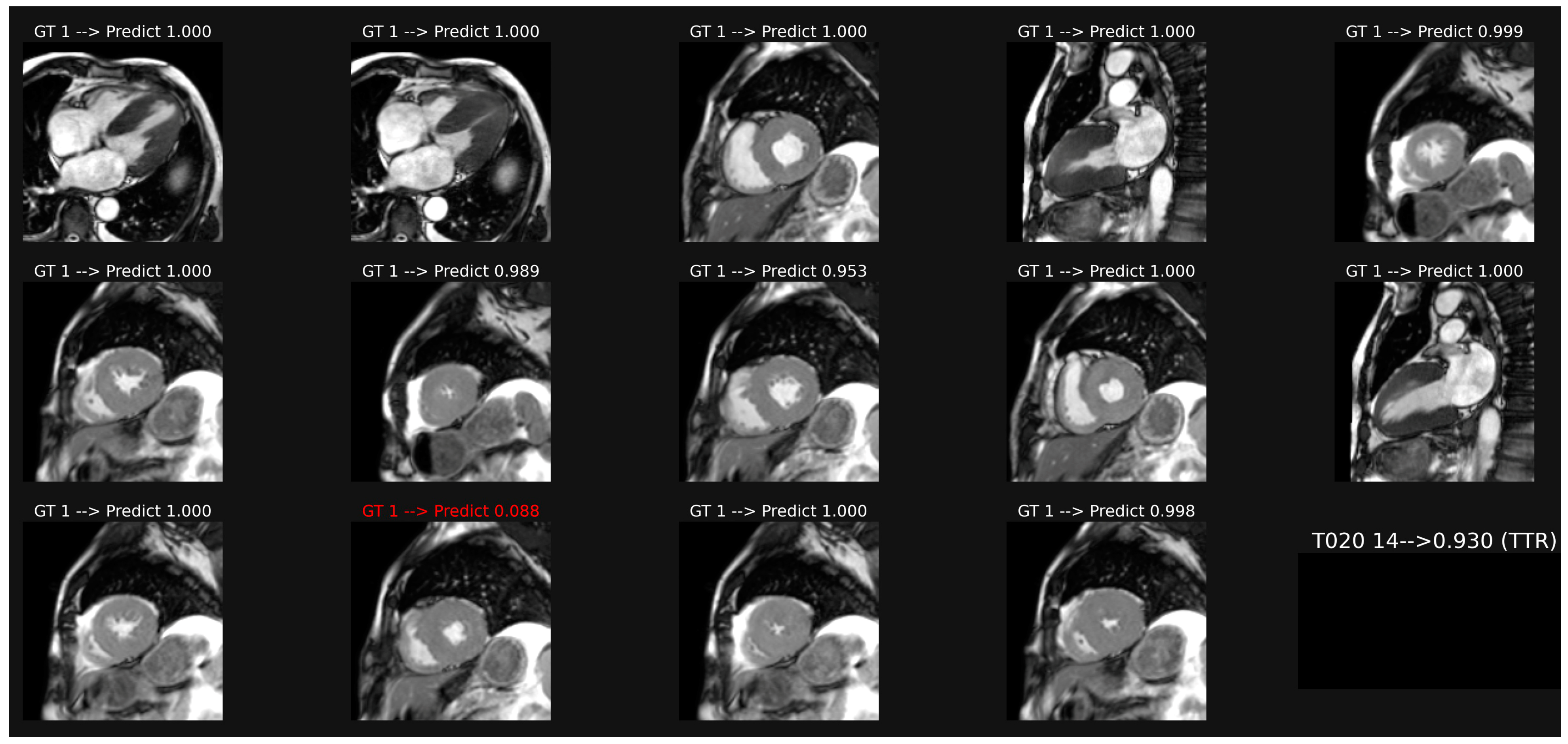 Biomedicines 11 00193 g002