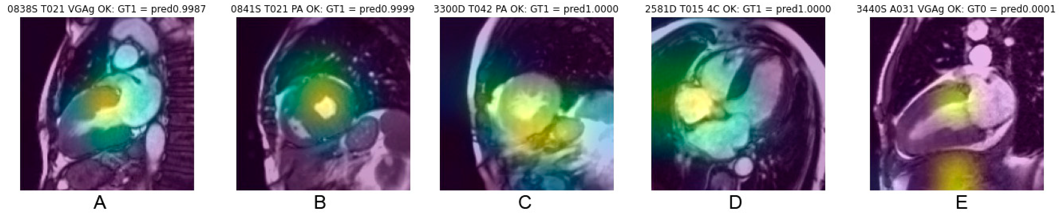 Biomedicines 11 00193 g005