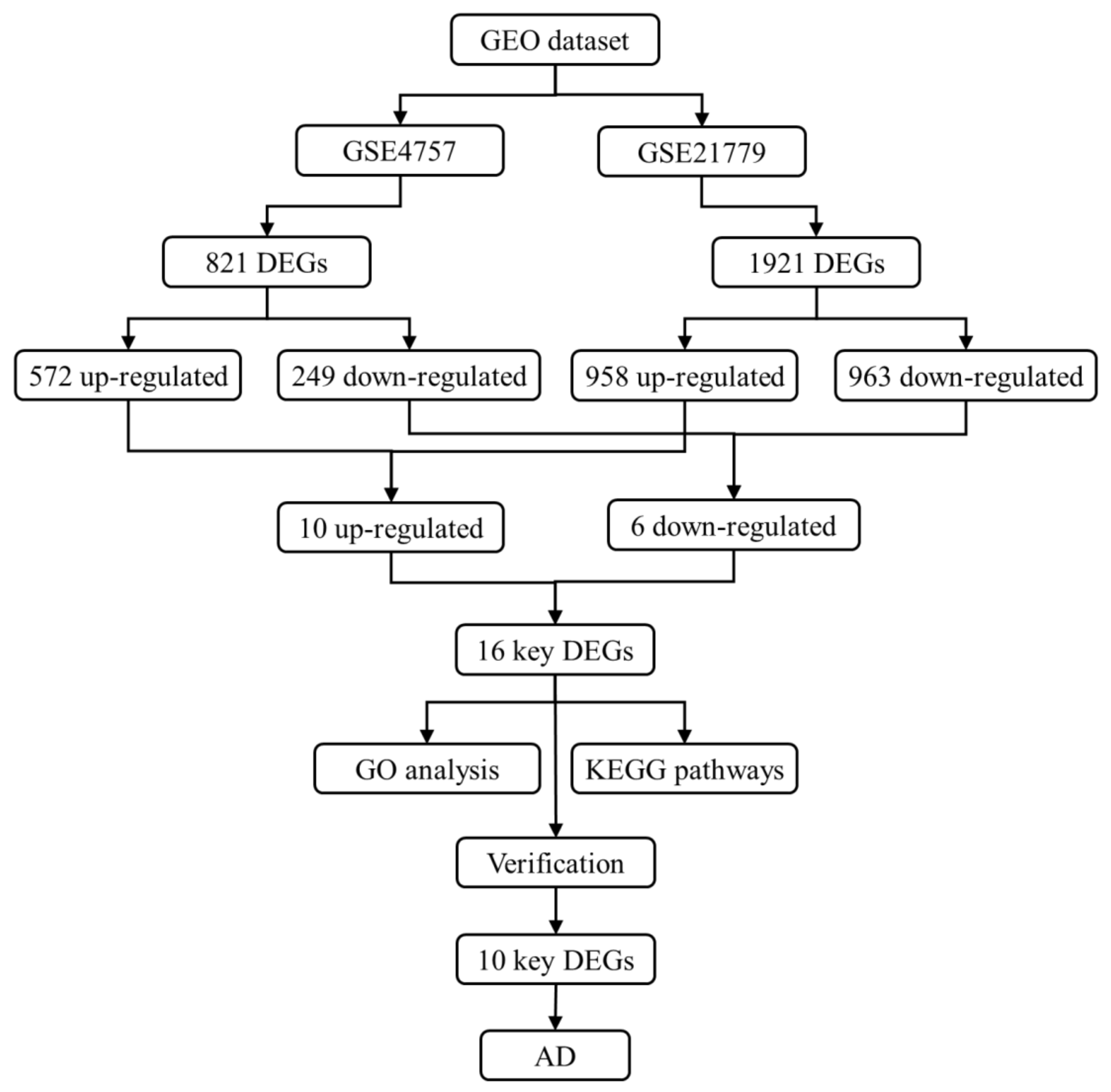 Biomedicines 11 00194 g001