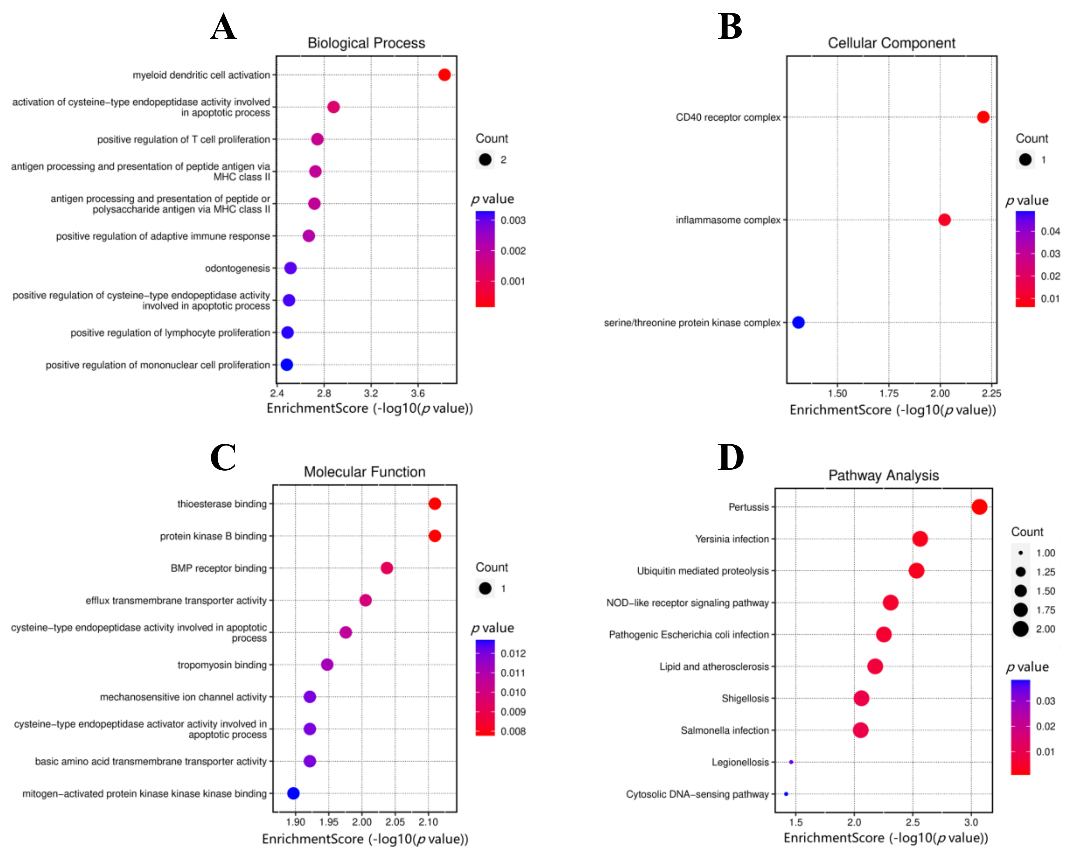 Biomedicines 11 00194 g003