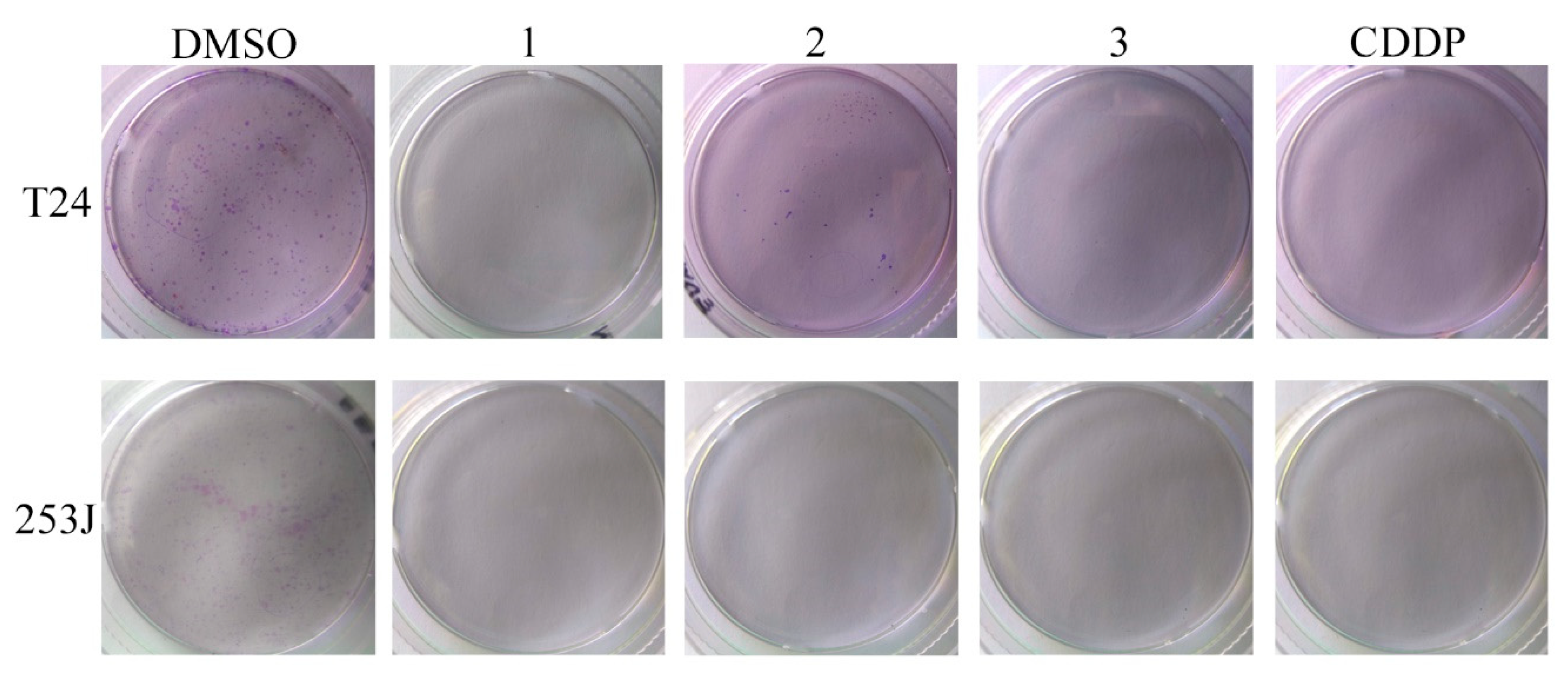 Biomedicines 11 00199 g005