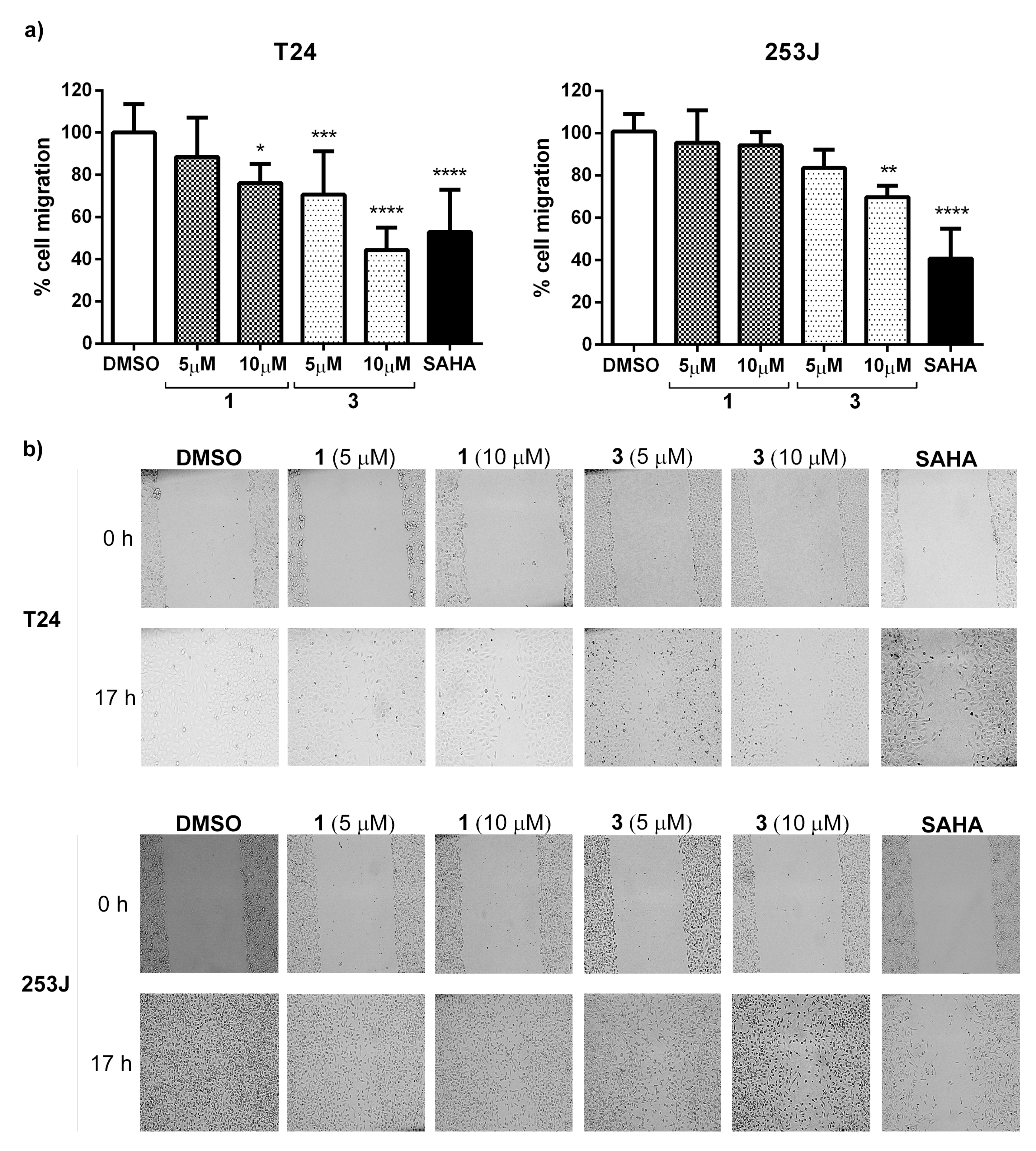 Biomedicines 11 00199 g007
