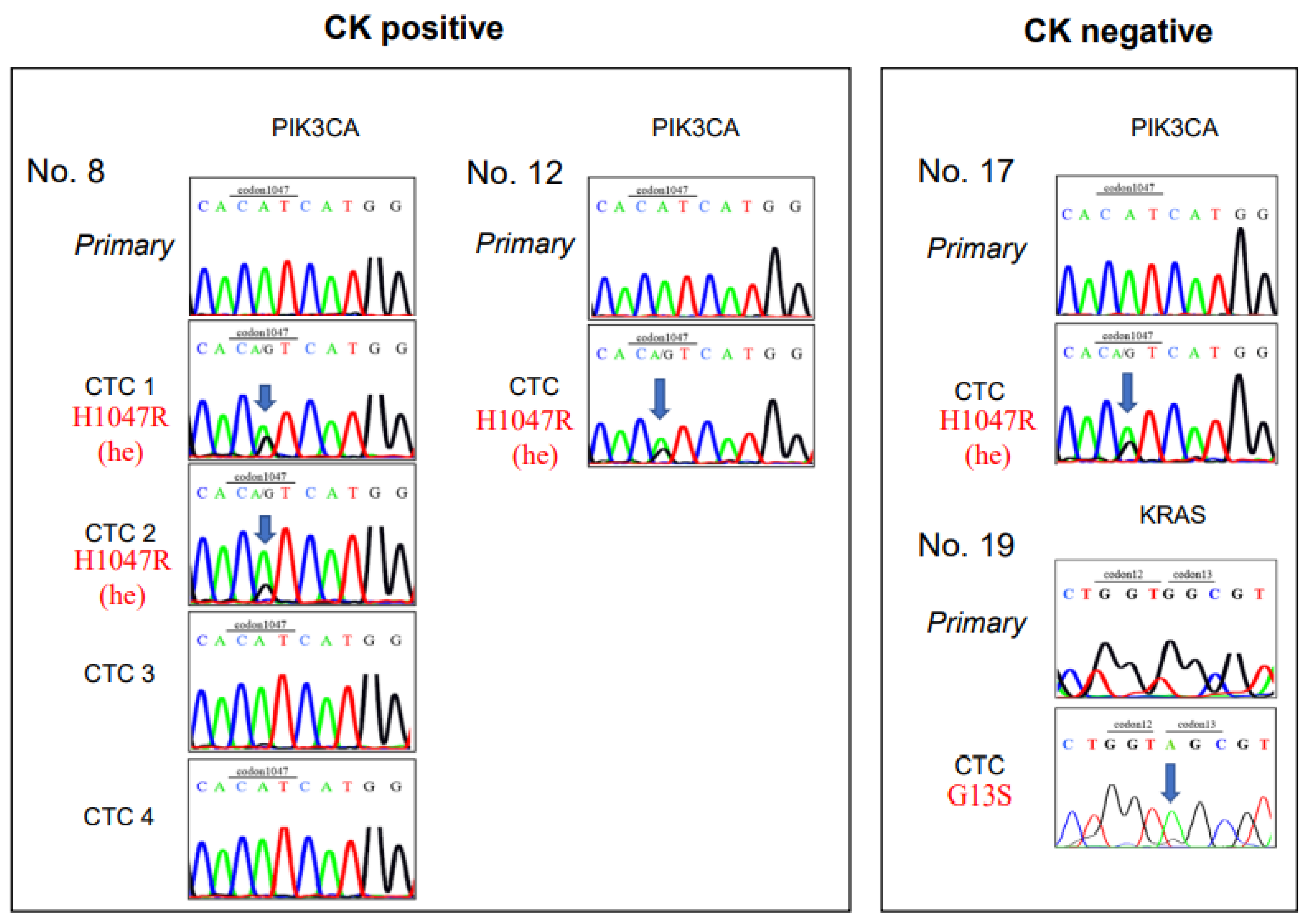 Biomedicines 11 00203 g003