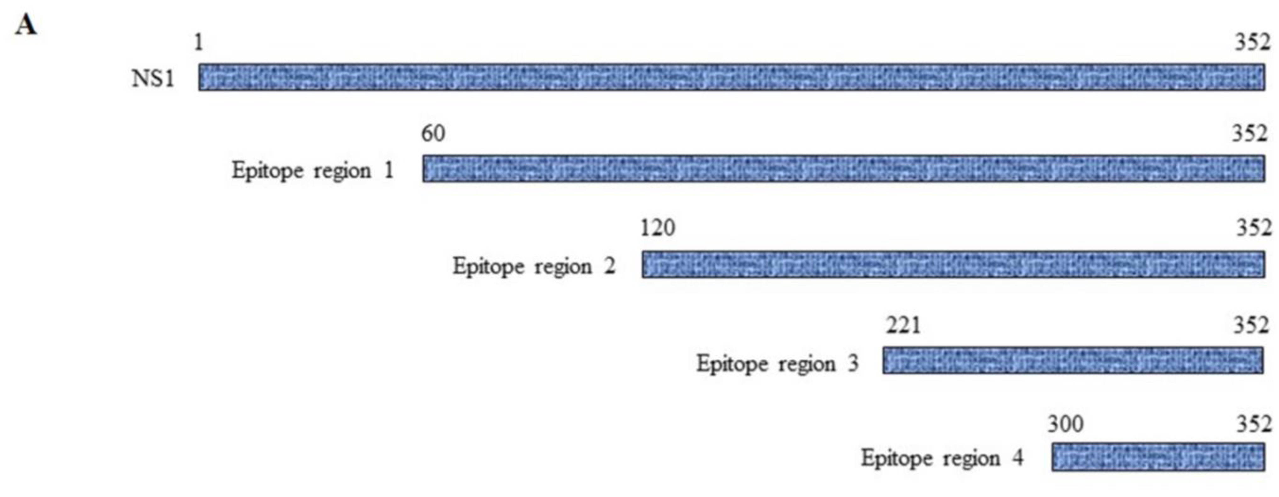Biomedicines 11 00227 g006a