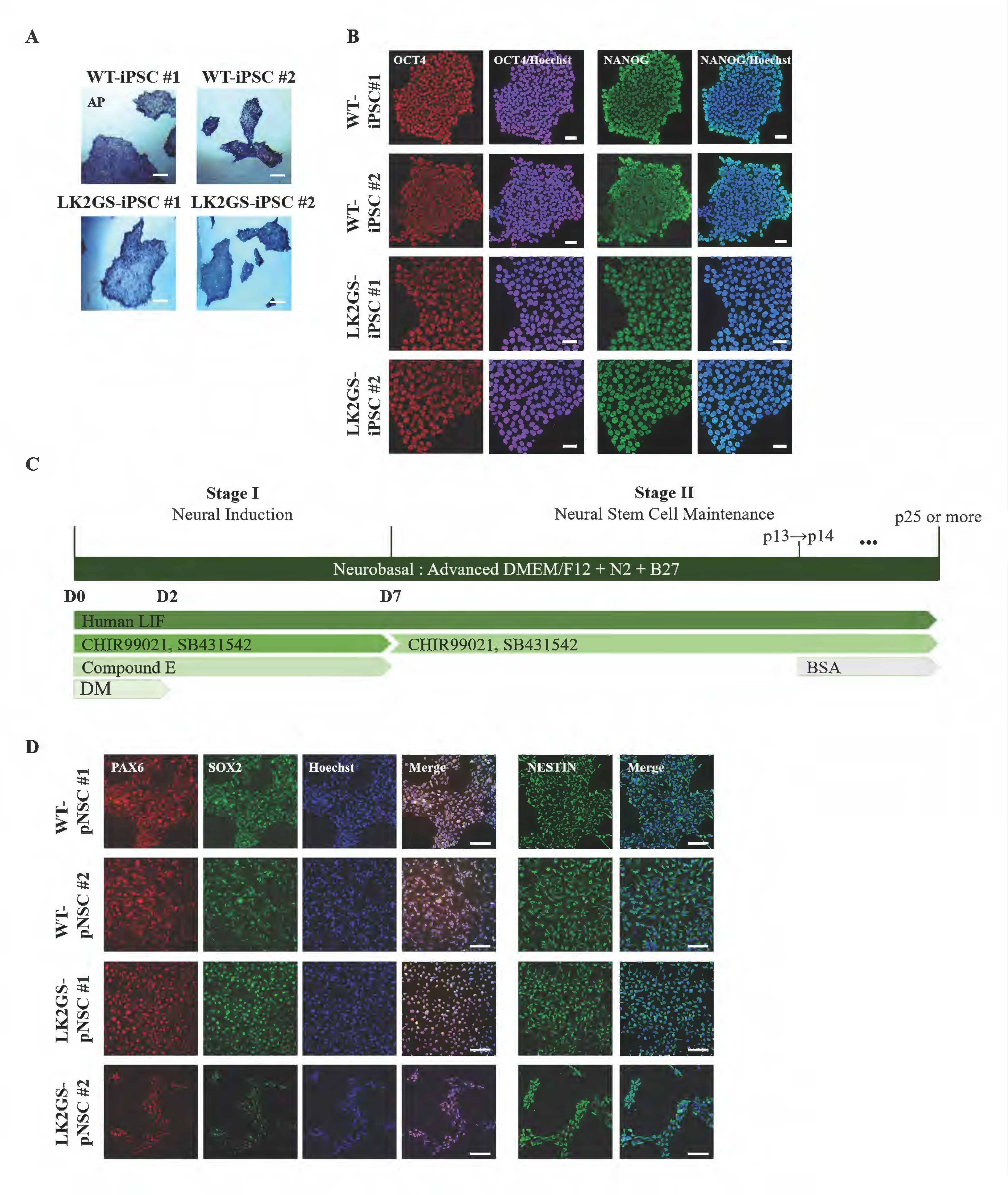 Biomedicines 11 00228 g001 Biomedicines 11 00228 g001